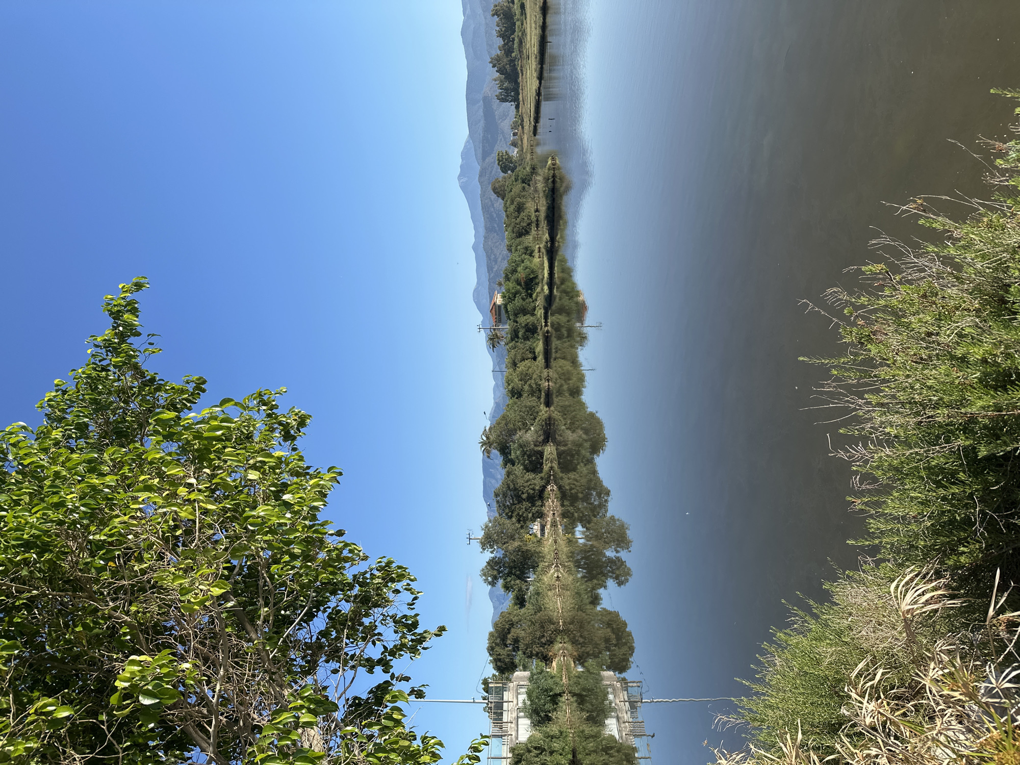The image captures a scenic view with trees and water in Fethiye, Turkey. A body of water stretches through the center, flanked by green vegetation on either side. On the left, a lush tree with vibrant green leaves stands prominently. In the background, a mountain range rises above the landscape. A line of trees runs along the water's edge, interspersed with utility poles. The sky is clear and blue, providing a bright backdrop for the scene. The water surface reflects the trees and the sky, creating a mirrored effect. The image composition suggests a peaceful, natural setting within the urban area.