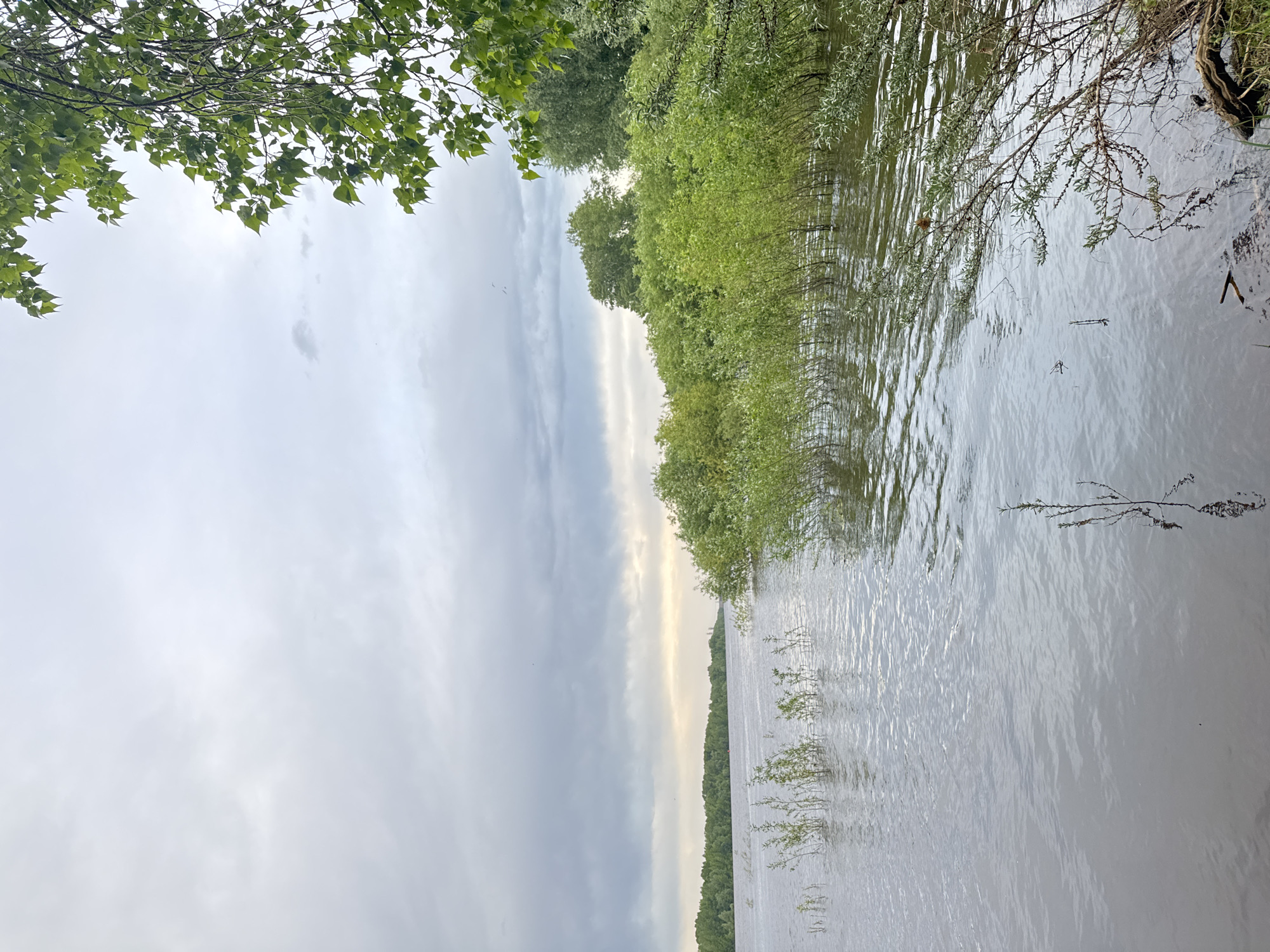 This image shows a body of water, likely a river or lake, in Chaikovsky, Russia. The water is gray-brown and slightly rippled. Along the water's edge is dense green vegetation, including trees and bushes, some of which are partially submerged in the water. Above, the sky is overcast with gray and white clouds. The overall scene suggests a tranquil, possibly rural or natural environment within or near the city.