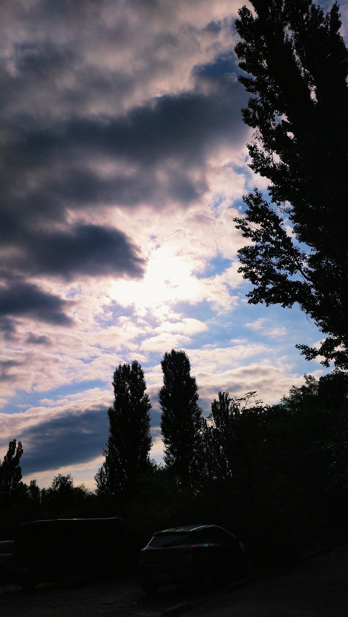The image depicts a silhouetted natural scene against a dramatic sky, with a hint of urban elements at the foreground. Tall, slender trees with dark foliage dominate the right and center portions of the frame, their branches reaching upwards. Two prominent, dark, columnar trees stand in the middle ground. The sky is a mix of dark, heavy clouds on the left and lighter, wispy clouds with patches of blue on the right, illuminated by a bright, diffused light source. In the foreground, the dark silhouettes of two vehicles, a larger van-like vehicle on the left and a smaller car on the right, are visible on a dark, possibly paved, surface. The overall impression is that of an overcast or twilight scene, possibly on the outskirts of the city of Horishni Plavni, Ukraine, given the context. There are no visible people.