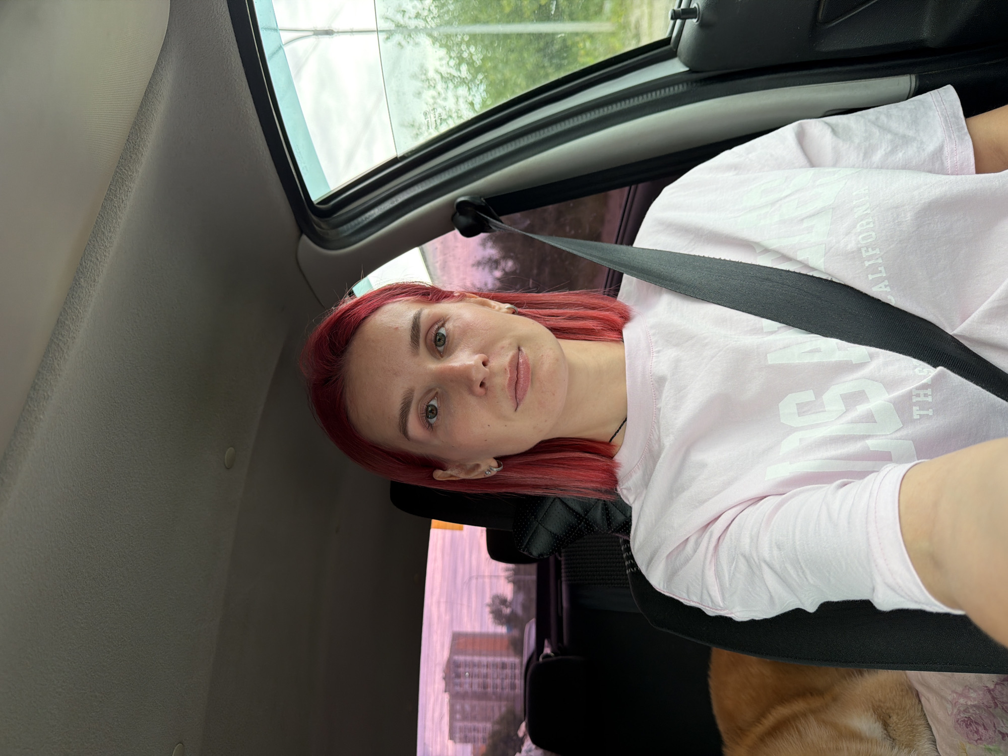 The image shows a young woman with bright pink hair sitting in the driver's seat of a car. She is wearing a pink t-shirt with white lettering that appears to say "LOS ANGELES CALIFORNIA". A seatbelt is visible across her chest. To her left, a dog with orange and white fur is resting on the passenger seat. Through the car windows, a cityscape with apartment buildings can be seen in the background, with a purplish sky, suggesting it might be dusk. The environment outside appears to be a residential area. The metadata indicates the location as Chaikovsky, Russia.