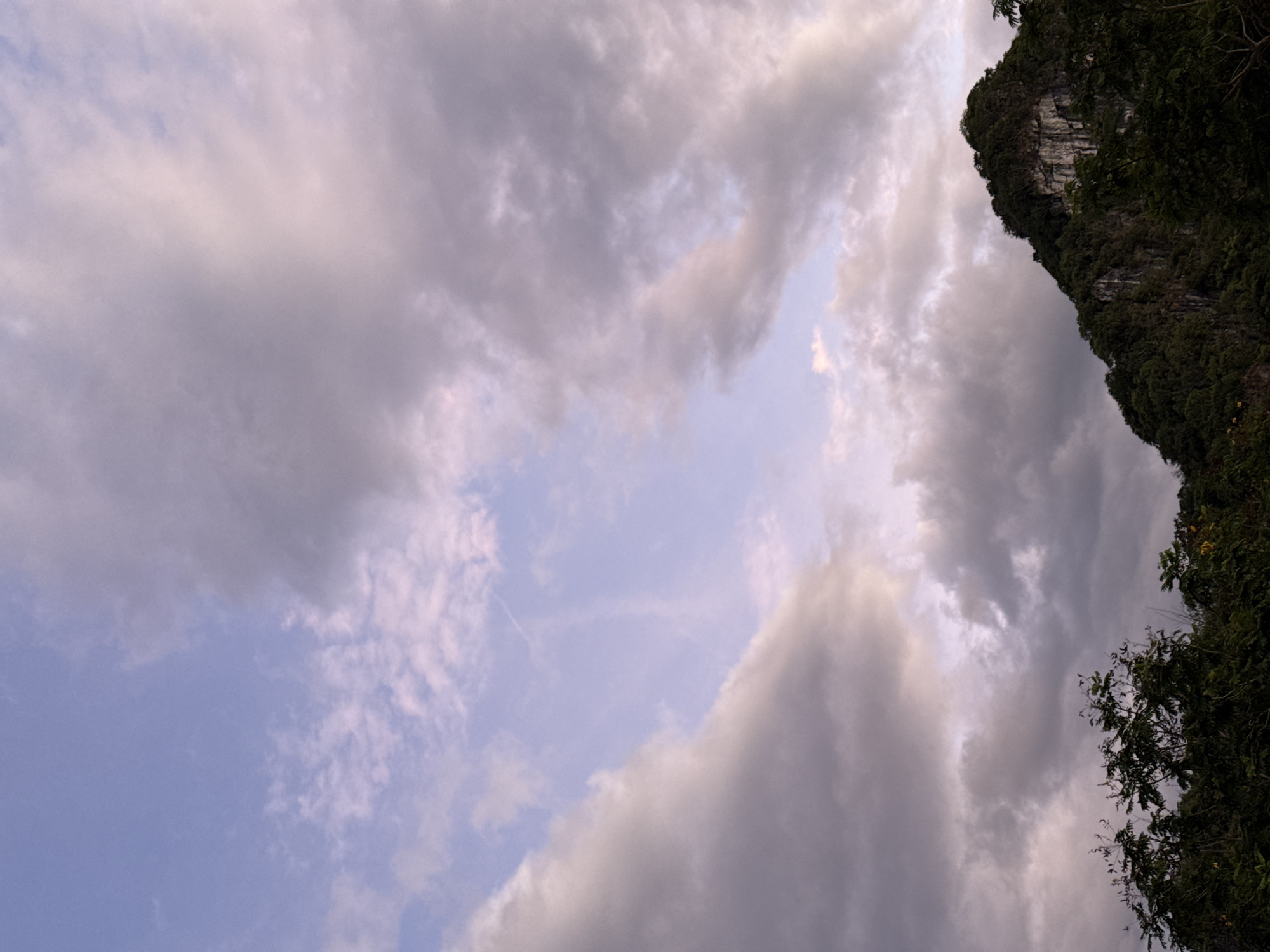The image displays a natural landscape scene dominated by a sky with varied cloud cover and a prominent, vegetated mountain. The sky, occupying the majority of the frame, exhibits a gradient of light blue, soft lavender, and grey tones, with dense, darker grey clouds congregating on the right and upper left, while lighter, wispy clouds with pinkish hues are scattered across the more open central and lower sky. A faint, white contrail extends diagonally in the lighter blue sky section. In the lower right quadrant, a steep, densely forested mountain or large hill rises, its slopes covered in dark green foliage. Sections of exposed, light grey rock face are visible through the trees on the mountain. The bottom edge of the image reveals the dark green canopy of additional foreground vegetation. The overall lighting is soft and diffuse, indicating either an overcast sky or the transitional light of dawn or dusk. Given the mountainous landscape with prominent rock formations and dense vegetation, the location is consistent with the Marble Mountains (Ngũ Hành Sơn) in Đà Nẵng, Vietnam. No people, animals, or man-made structures are visible.