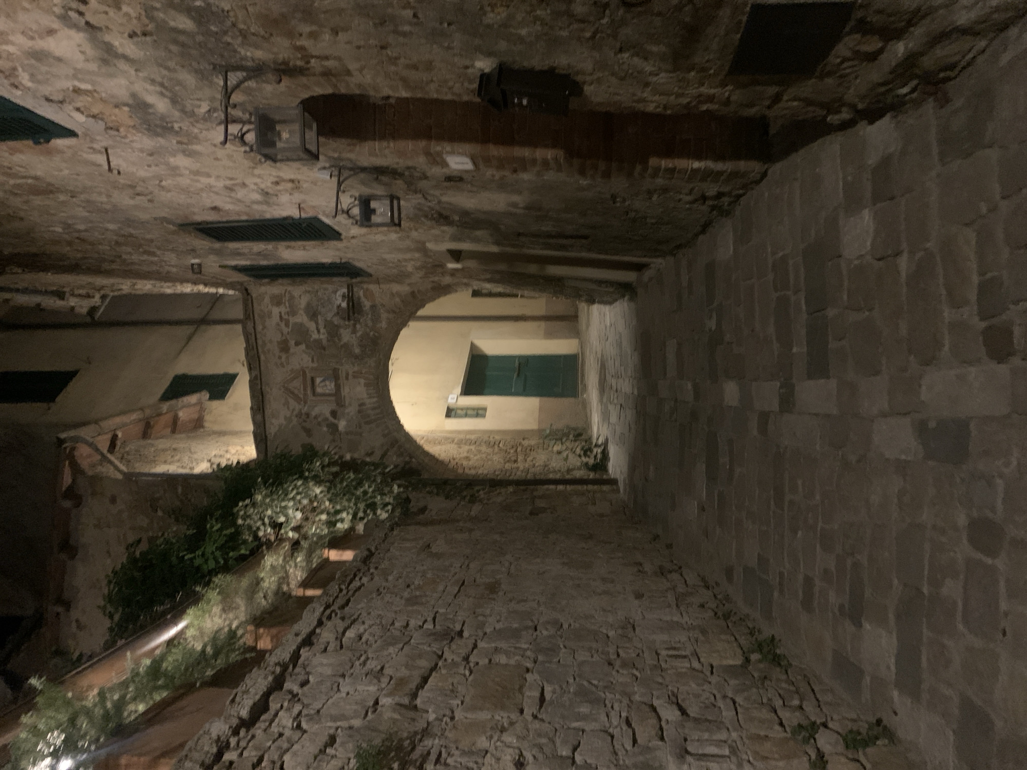 The image depicts a narrow, cobblestone alleyway in San Quirico d'Orcia, Italy, at night. The alley is lined with aged stone buildings. Lush green foliage spills over a stone wall on the left side of the alley. On the right, the building features dark green shutters and rustic lanterns mounted on the brick facade. A green door is visible in the distance, set within an archway. The scene is dimly lit by artificial light, casting long shadows.