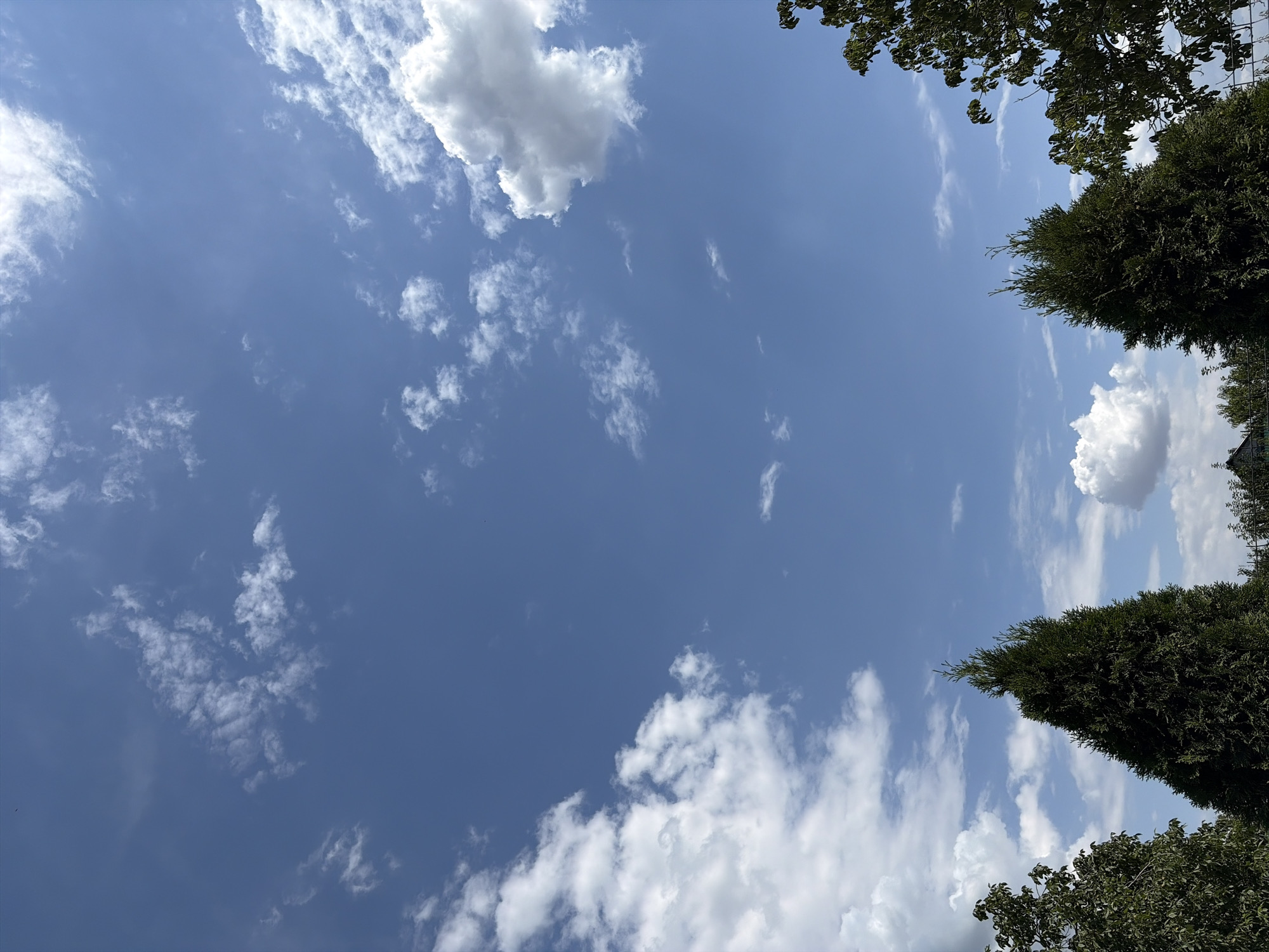 This is a photograph of a partly cloudy sky over Oxentea, Moldova. The sky is a clear blue with scattered white cumulus clouds. The bottom of the image shows the tops of dark green evergreen trees and some deciduous trees with green leaves. A black metal fence is visible in the lower right corner, partially obscured by trees. The overall scene suggests a sunny day with moderate cloud cover.