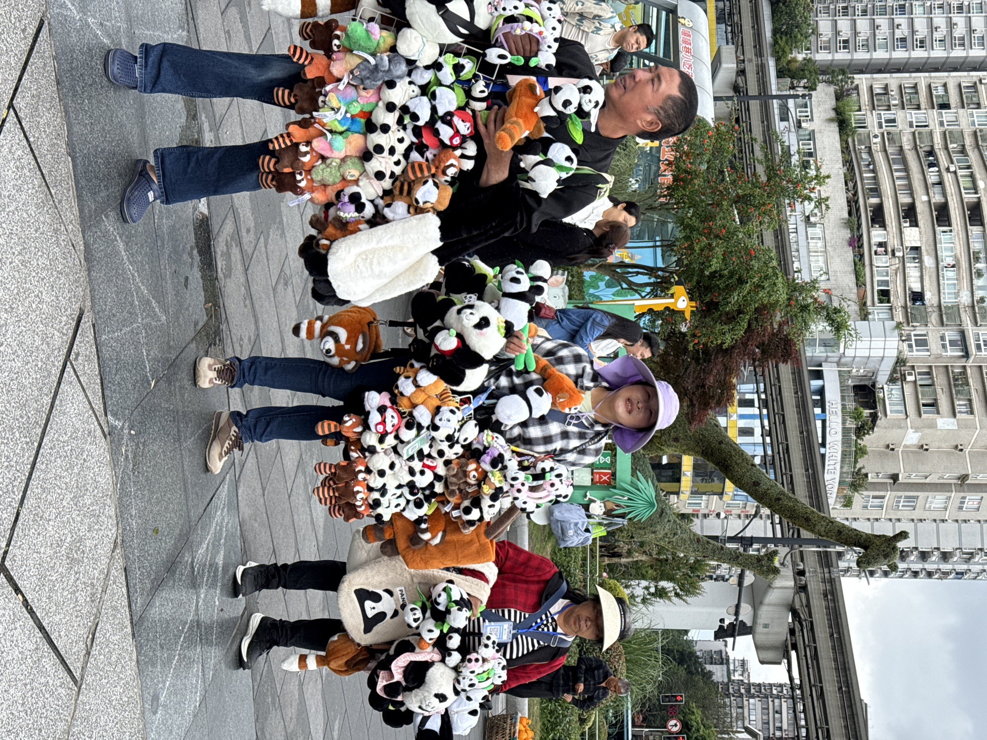 This image depicts an urban street scene in Jiulongpo District, China, on an overcast day. The primary subjects are at least three individuals, likely street vendors, who are heavily adorned with a multitude of plush toys. These toys predominantly feature small pandas and red pandas, along with other colorful stuffed animals, attached to their clothing, bags, and limbs.
The individual on the left, a man, wears blue jeans and dark blue clogs, with plush toys covering his legs and upper torso. Another person's legs are partially visible, also laden with toys. Further right, two women are visible. One wears a purple sun hat and a plaid shirt, while the other wears a light-colored visor and a red and black striped shirt. This second woman carries a prominent panda-themed bag with the word "PANDA" visible on it, and wears an identification badge around her neck. All individuals are engaged in carrying and displaying these numerous stuffed animals, suggesting their role as vendors or promoters.
The background reveals a dense urban environment with tall, concrete residential and commercial buildings. An elevated monorail track runs through the scene, indicative of a city with a modern public transport system. Patches of greenery, including trees and landscaped shrubs, are present along the street. Visible text includes "HELLO WHITE YOu" on a distant building, and some Chinese characters on another building facade, likely a store sign. The overall scene captures a lively, commercial street activity during the daytime.