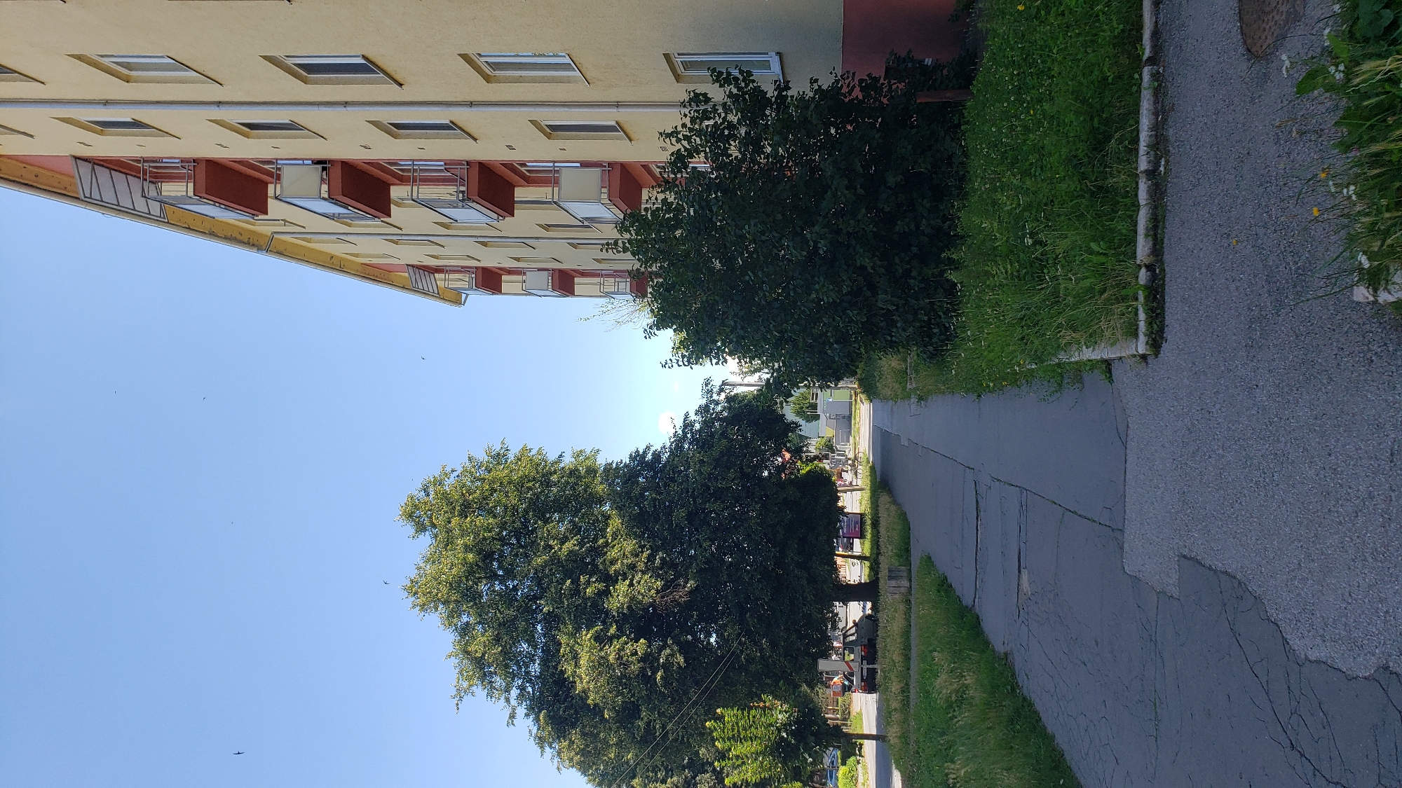 This image captures a sunny day in Prešov, Slovakia, showing a residential building on the right and a sidewalk leading into the distance on the left. The building is painted a pale yellow with red balconies and white trim around the windows. A large, leafy tree dominates the left side of the image, casting a shadow on the adjacent sidewalk. The sidewalk itself appears to be made of concrete, with some sections cracked and worn. Grass and small bushes line the sidewalk and the area in front of the building. A few cars are visible in the background, as well as power lines. Several birds are flying in the clear blue sky. The scene suggests a typical urban residential area in Eastern Europe.