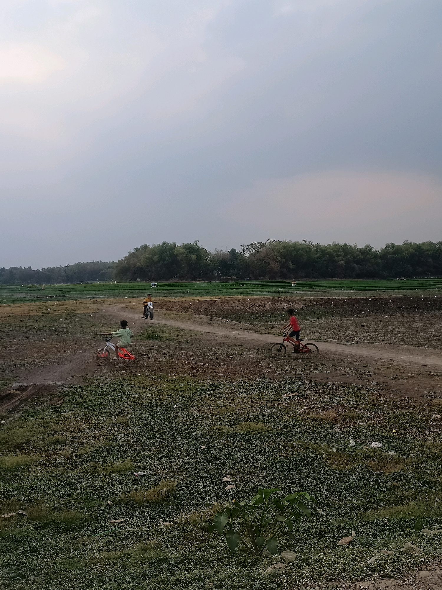 In Sambiduwur, Indonesia, a dirt path winds through a sparsely vegetated, dry landscape under an overcast sky. On the path, three individuals are engaged in recreational activities. To the right, a child in a red shirt rides a red bicycle, facing away from the viewer. To the left, a child in a green shirt rides a red bicycle, also facing away. Further in the background, another individual rides a motorcycle. The background features a line of dense green trees, beyond which are agricultural fields, possibly rice paddies, stretching into the distance. The ground is a mixture of dry earth and low-lying green vegetation, with scattered debris visible in places.