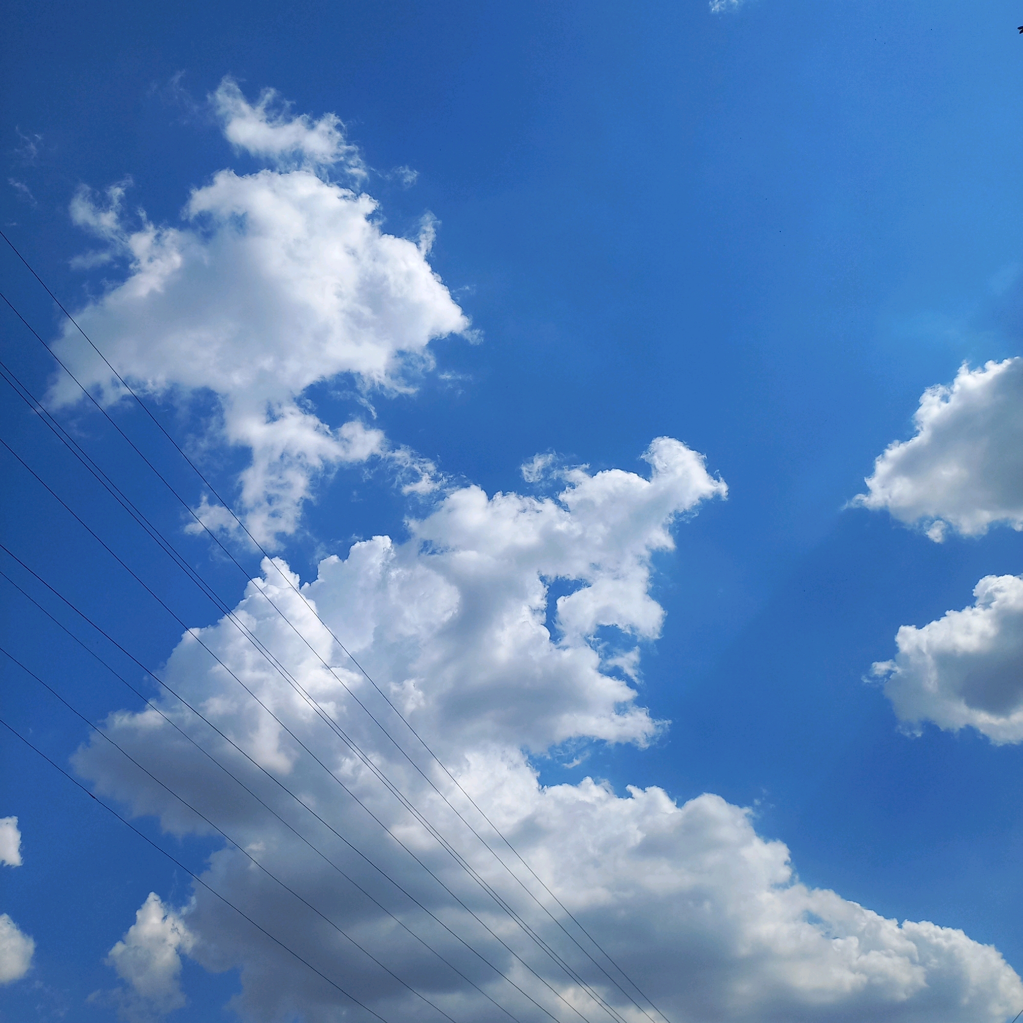 The image shows a bright blue sky with scattered white clouds. Several parallel black wires run diagonally across the lower left portion of the frame. There are no people or discernible structures visible. The scene appears to be outdoors.