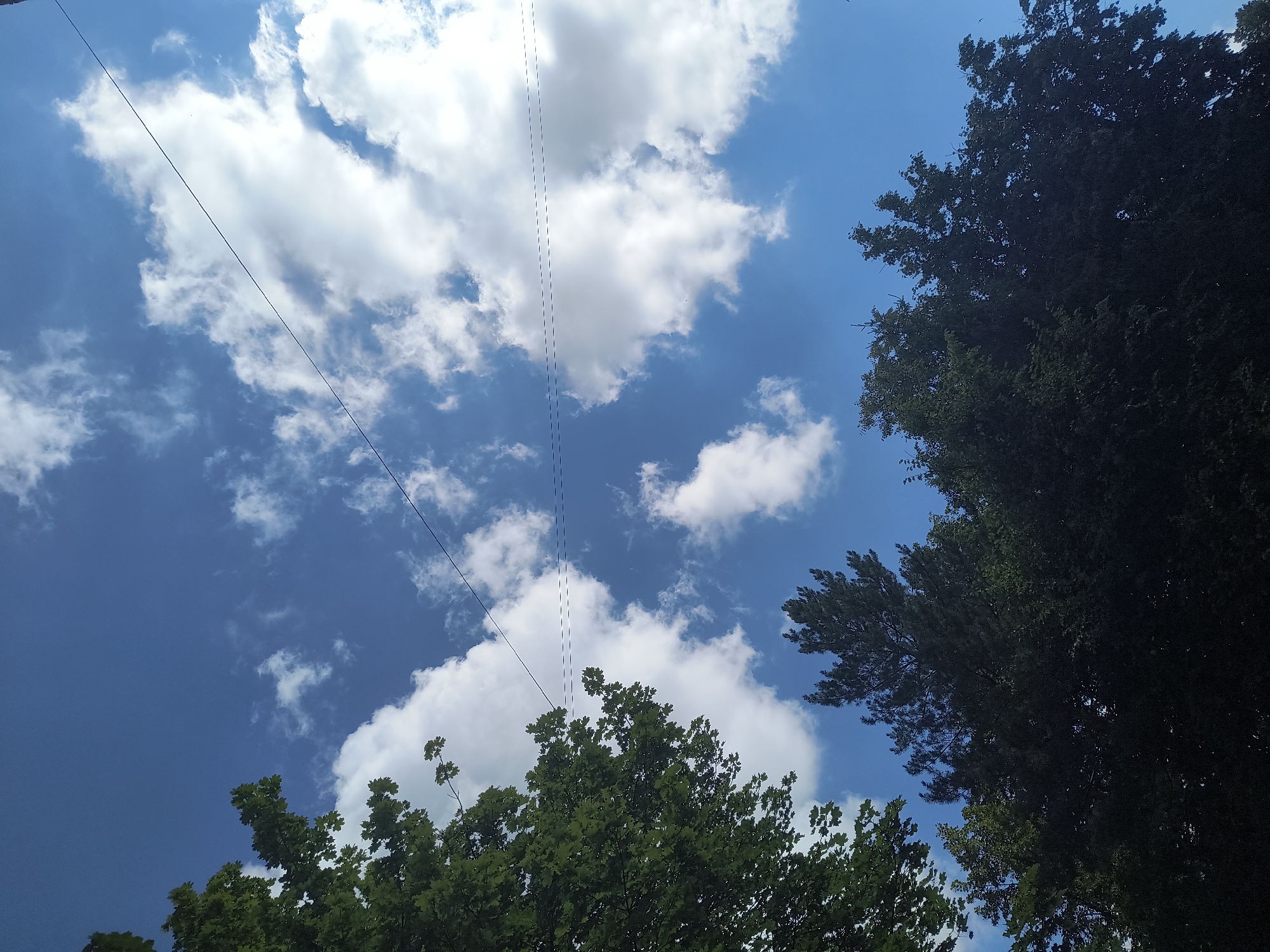 The image depicts a view looking up at a bright blue sky with scattered white cumulus clouds. Several dark green trees, appearing lush and full, occupy the lower portion of the frame, with the canopy of one tree extending into the upper left quadrant. Two thin, dark wires run diagonally across the sky, one higher and one lower, with the lower wire appearing to have small, dashed connections. The scene is consistent with an outdoor environment in Rivne, Ukraine, likely during daytime with pleasant weather. There are no people or visible human activity within the frame.