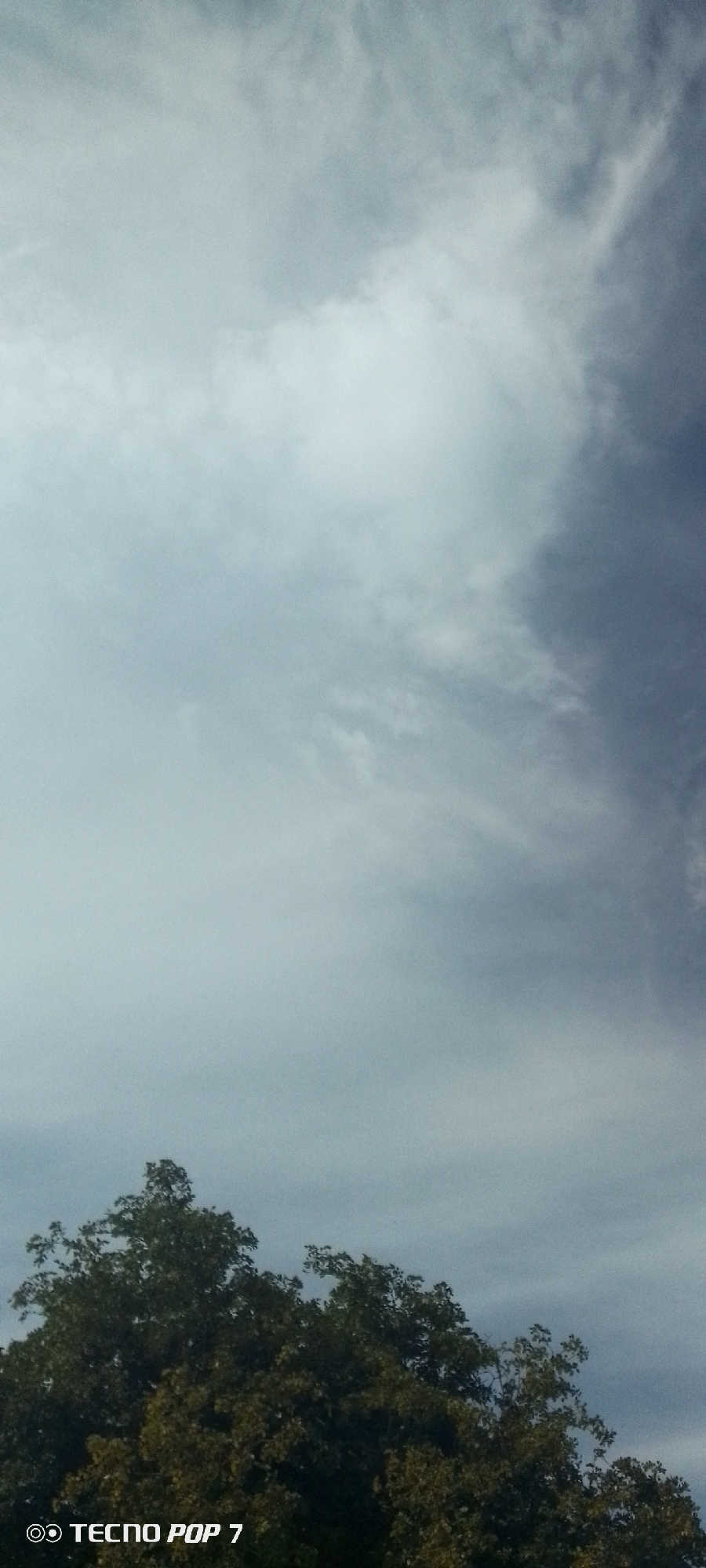 The image shows a cloudy sky above trees. The sky is mostly gray and white, with some hints of blue. The trees are green and fill the bottom of the frame. At the bottom left is text that reads "Tecno Pop 7". The image was possibly taken in Altagracia, Venezuela, based on the prompt.
