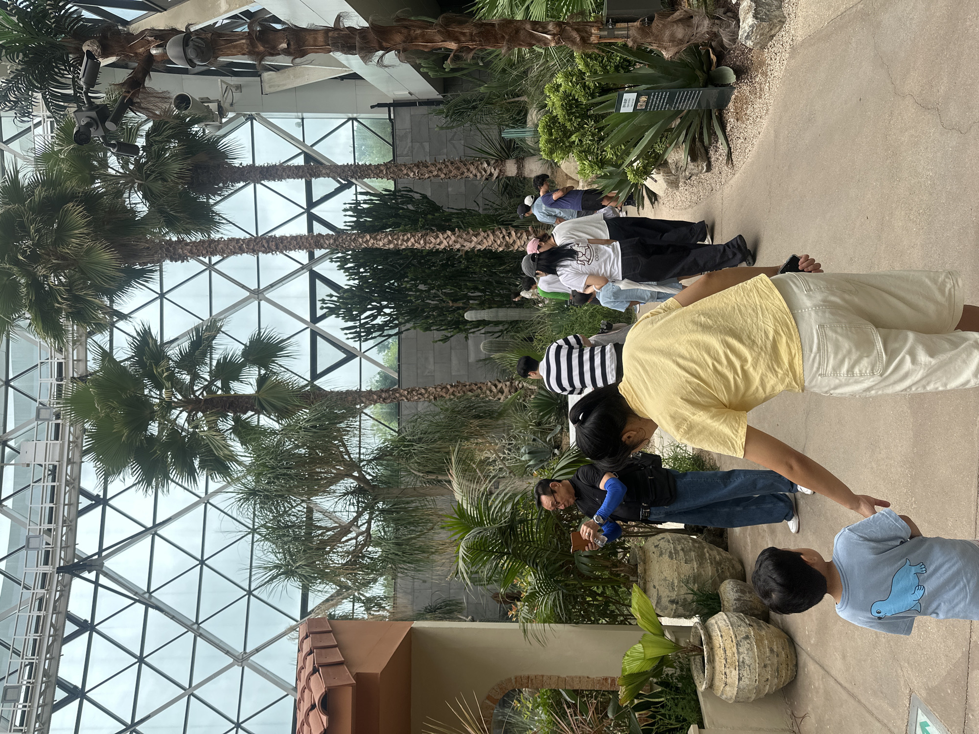The image depicts a tropical greenhouse environment. In the foreground, a young boy in a light blue t-shirt with a seal graphic is being led by a woman in a yellow t-shirt and off-white shorts. To their left, a man in a black shirt and blue arm sleeves is holding a phone and a bottle. The background features a variety of palm trees, cacti, and other lush vegetation under a geodesic glass roof. The architecture suggests a modern botanical garden. The location is the Children's Grand Park Botanical Garden in Seoul, South Korea.