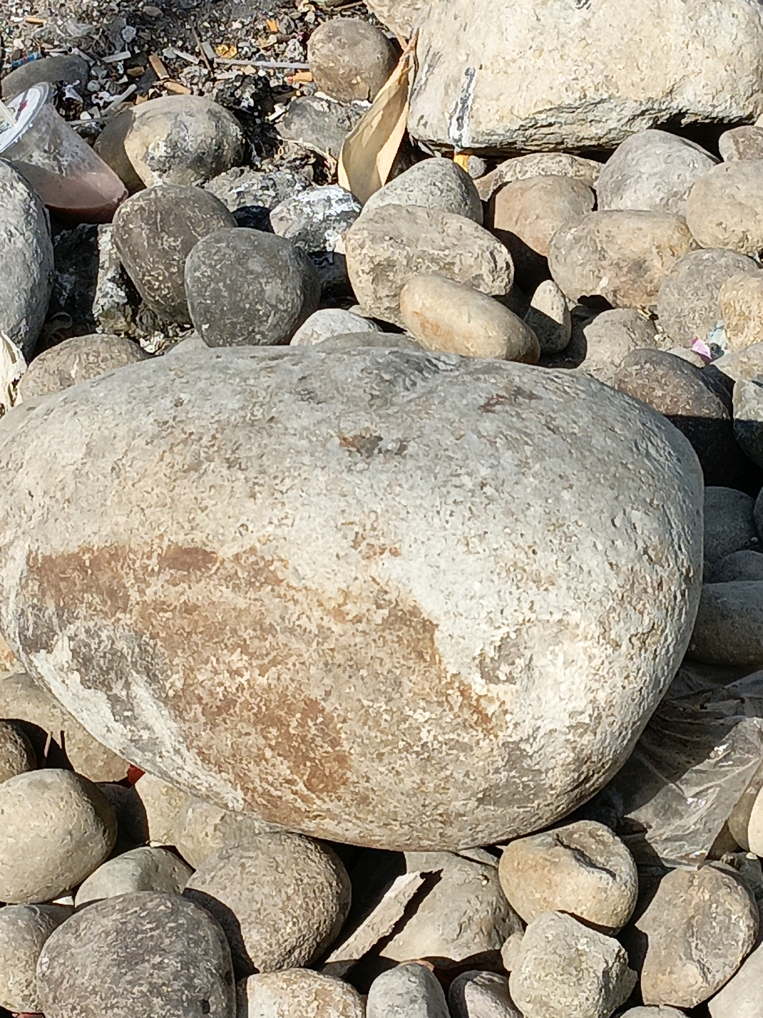 The image displays a close-up view of various rocks, some smooth and rounded, others rougher in texture, scattered across a surface. The dominant subject is a large, light-colored, oblong rock in the foreground, showing patches of reddish-brown discoloration. Surrounding it are smaller, grey and tan-colored stones. In the background, debris is visible, including what appear to be cigarette butts, plastic fragments, and dried leaves, suggesting an outdoor, possibly unkempt, environment. The lighting suggests a bright, sunny day, casting shadows on the rocks. The image does not provide any specific visual cues that can be used to determine its location within the city of Bulukumba, Indonesia.