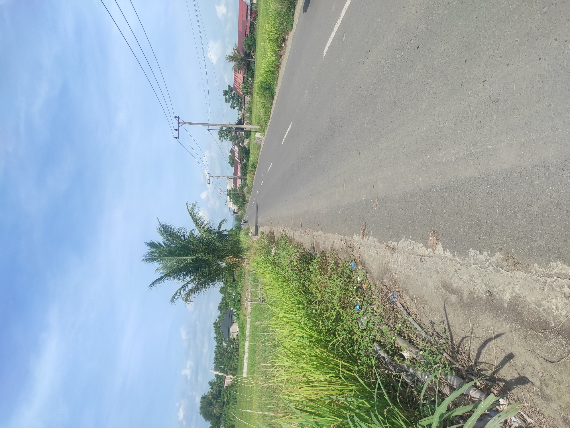 The image depicts a roadside scene in Lhokseumawe, Indonesia. A paved asphalt road stretches into the distance, marked with a dashed white centerline. The road edge transitions to a concrete curb, beyond which is overgrown vegetation, primarily tall grasses. A single palm tree stands alongside the road. Overhead, power lines are visible, supported by wooden poles. In the background, glimpses of residential buildings with red tile roofs can be seen amongst the foliage. The sky is blue with scattered white clouds. The image suggests a rural or semi-rural area on the outskirts of Lhokseumawe. There are no visible people or vehicles actively in the scene. Debris and litter are scattered along the curb area.