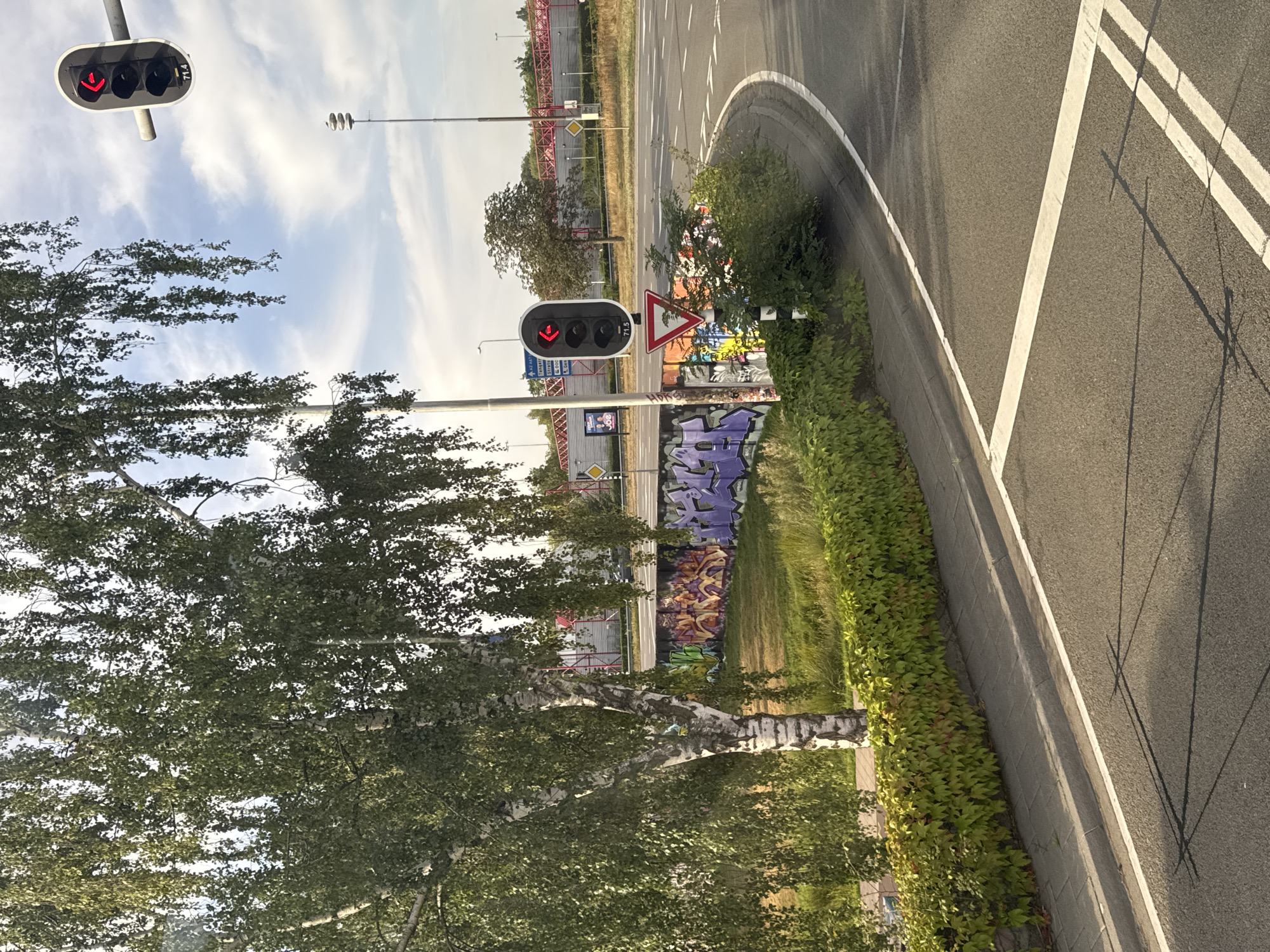 The image shows a traffic light with a red arrow pointing left, indicating that left turns are prohibited. The traffic light is located at an intersection in Eindhoven, Netherlands. A birch tree with drooping branches is prominent on the left side of the image, with green ivy covering a low wall below it. In the background, there is a street with traffic markings, a roundabout, and some buildings. Graffiti covers a section of the wall. The sky is partly cloudy.