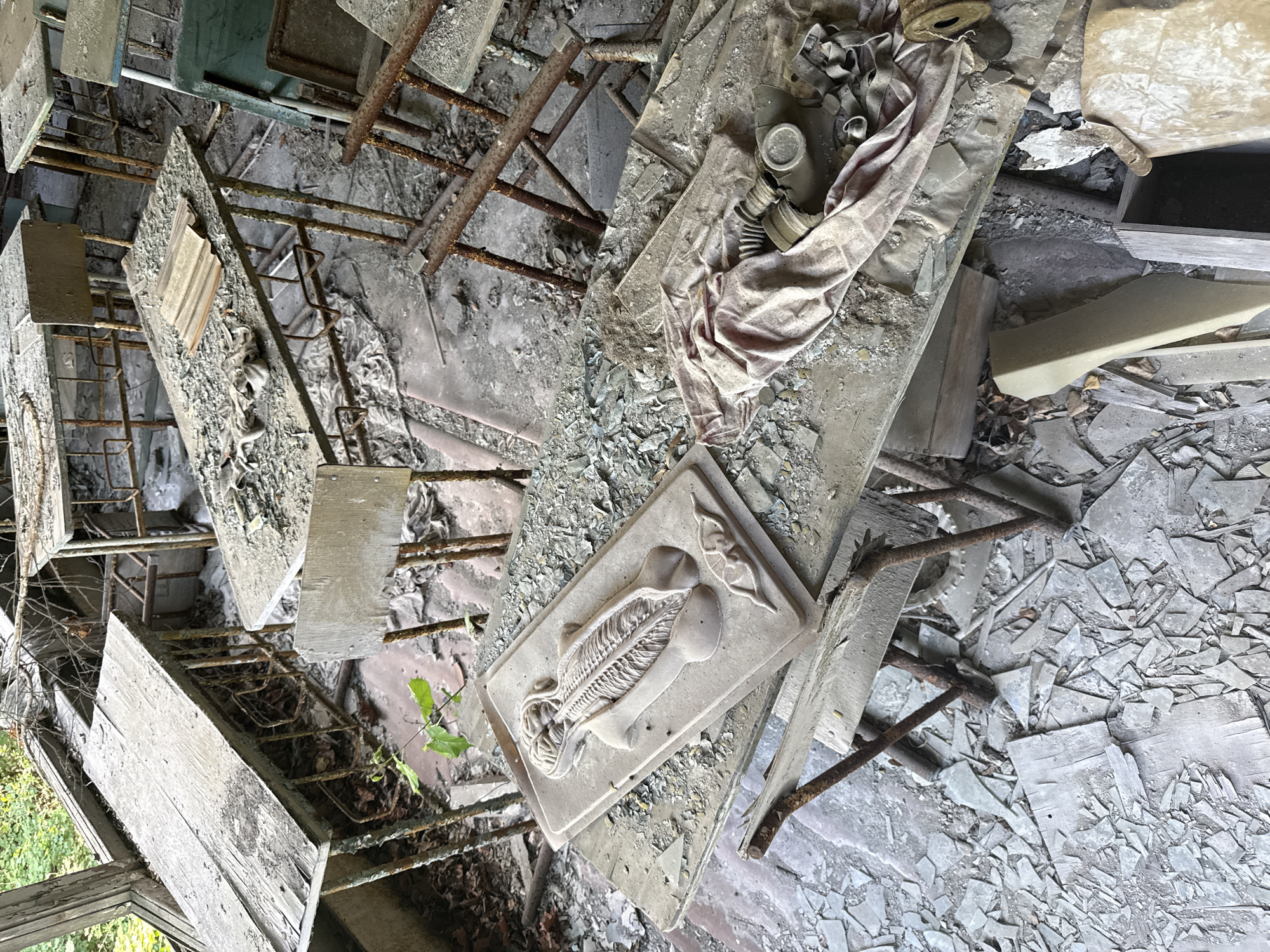 The image depicts an interior scene within an abandoned building in Prypiat, Ukraine, likely from the exclusion zone of the Chernobyl disaster. The environment is heavily dilapidated, with debris scattered across the floor, broken glass, rusted metal structures, and weathered wooden elements. The scene is oriented such that the top of the image appears to be the ceiling and the bottom is the floor, suggesting the photo was taken looking downwards.
Prominent objects in the scene include a gas mask with a ribbed hose, partially covered by a pinkish-beige fabric that seems to be a sheet or cloth. There is also a rectangular object with a raised, intricate relief, possibly a decorative tile or a mould, depicting what appears to be a skeletal fish or marine creature and a smaller, oblong shape. This object rests on a deteriorated surface, which itself is supported by a rusty metal frame. Further on, there are various planks of wood, some appearing to be part of furniture or structural elements, and more broken glass. In the foreground, a small green plant is growing, a stark contrast to the surrounding decay and a symbol of nature reclaiming the abandoned space.
The overall impression is one of extreme abandonment and decay, evoking a sense of desolation and the passage of time. The lighting suggests it is daytime, but the atmosphere is somber and heavy, consistent with the history of the location. There is no visible text in the image. The presence of the gas mask is a powerful reminder of the disaster that led to the evacuation of Prypiat.