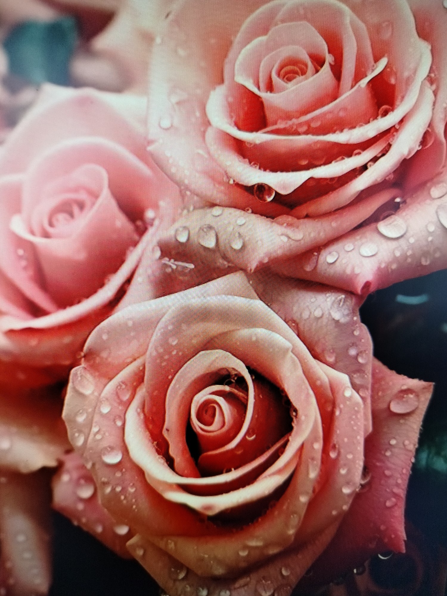 The image displays a close-up, macro photograph of a bouquet of pink roses, many of which are covered in water droplets. The roses are in various stages of bloom, with some tightly furled and others more open, revealing their layered petals. The lighting highlights the dewdrops, creating a glistening effect. The background is softly blurred, suggesting the flowers are the sole focus. The scene is devoid of any people, animals, or urban elements, and therefore cannot be located within Yashkino, Russia, or any other specific city.