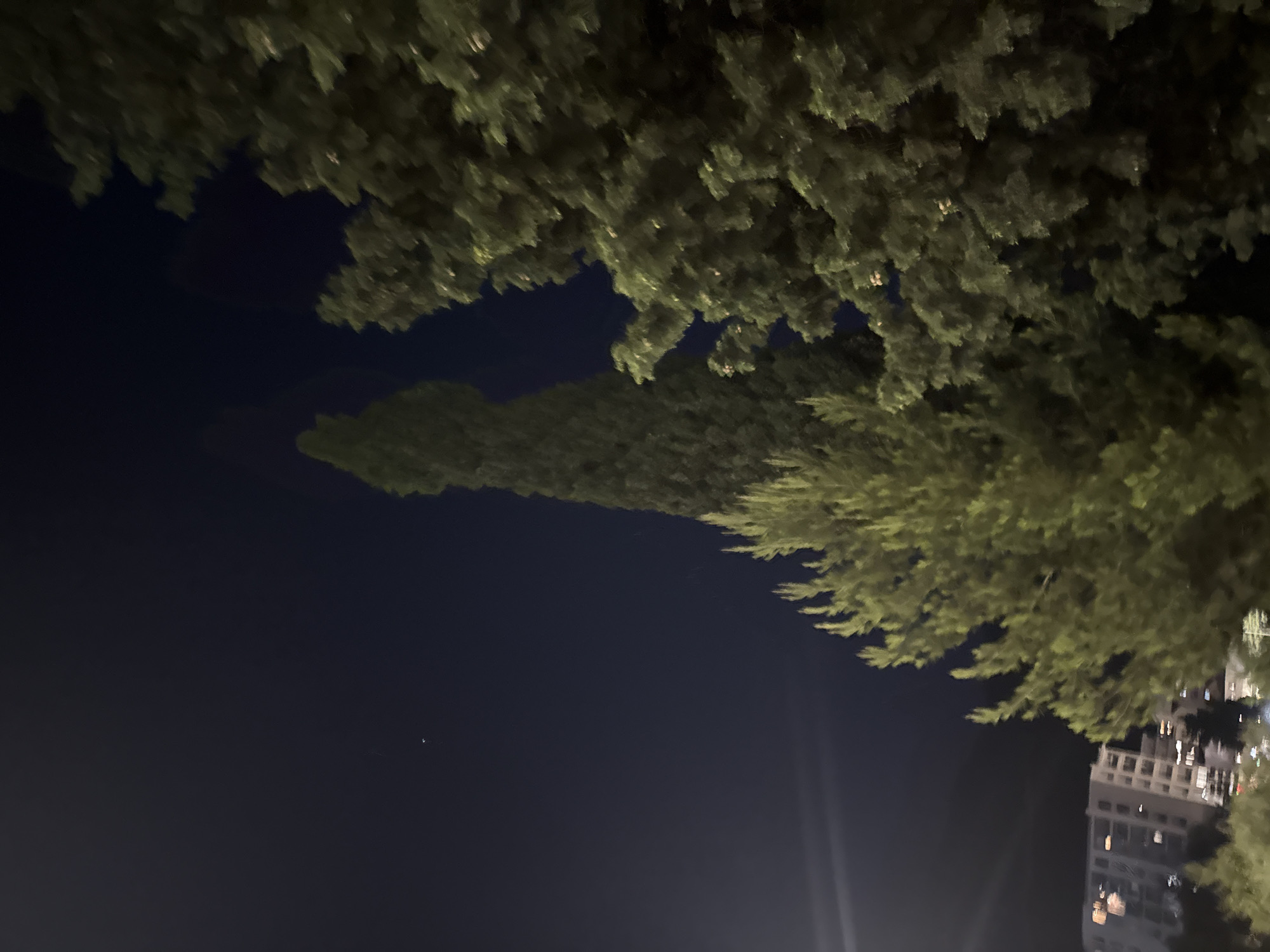 The image displays a night scene in Boreti, Montenegro, featuring several trees silhouetted against a dark sky. The prominent trees are tall and conical, with lush green foliage illuminated by an unseen light source, likely artificial, casting a soft glow. One of these trees is centrally located, reaching high into the frame, while others frame the right and lower portions of the image. In the upper left quadrant of the sky, a faint, distant light source, possibly a star or a planet, is visible. To the left and lower part of the image, a multi-story building with illuminated windows can be observed, indicating an urban or semi-urban environment. The overall atmosphere is calm and serene, characteristic of a night in a coastal town.