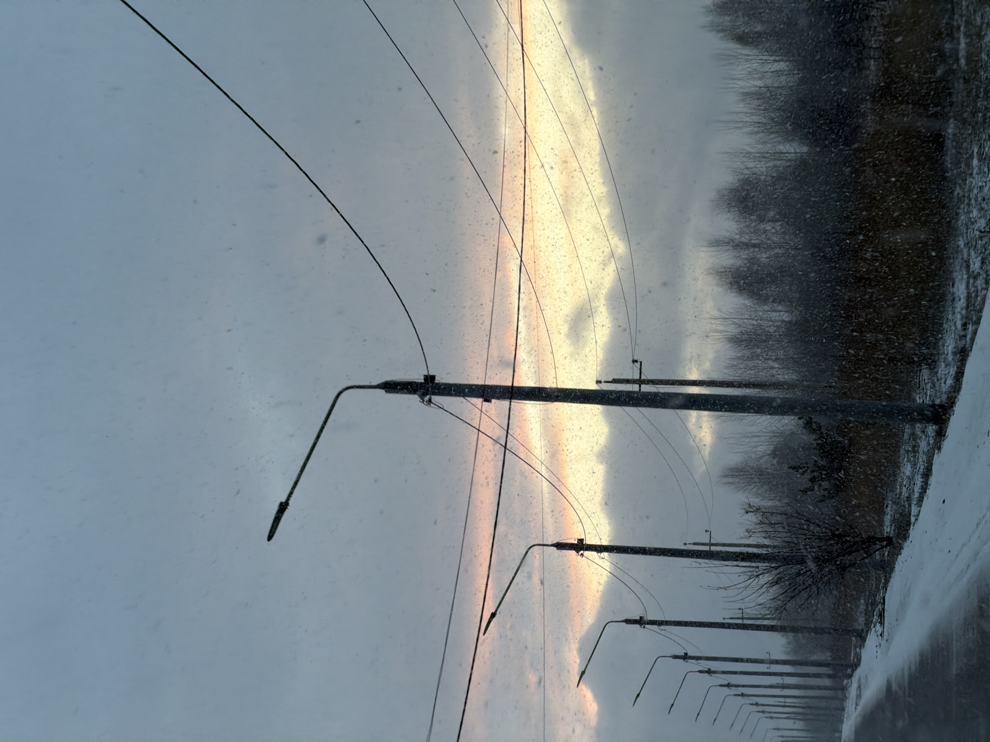 The image shows a snowy scene with a row of streetlights receding into the distance along a road or path. Above and behind the streetlights are electrical wires. Beyond the streetlights and road, there is a line of trees. The sky is overcast with a pale golden band visible through the clouds. Snowflakes are visible throughout the image. Based on the description, the location is the city of Krasnoyarsk, Russia.