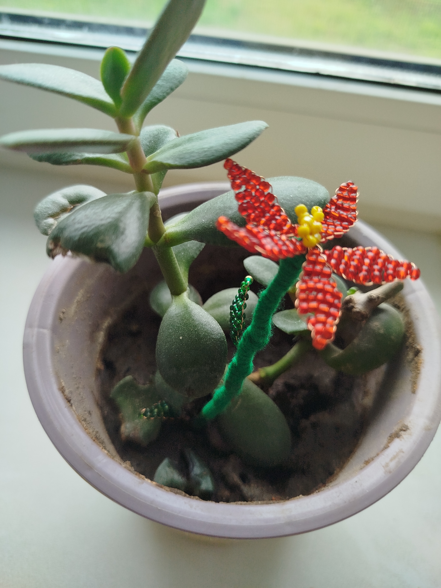 A close-up, high-angle shot shows a potted jade plant with thick, fleshy green leaves and a beaded red and yellow flower ornament. The ornament is positioned near the center of the plant, attached to a green pipe cleaner stem. The plant is in a light purple plastic pot, which is filled with dark soil. The pot rests on a light-colored surface, possibly a windowsill, with a blurred green outdoor scene visible in the background through what appears to be a window. The lighting suggests an indoor setting, likely during the daytime. There are no people visible in the image.