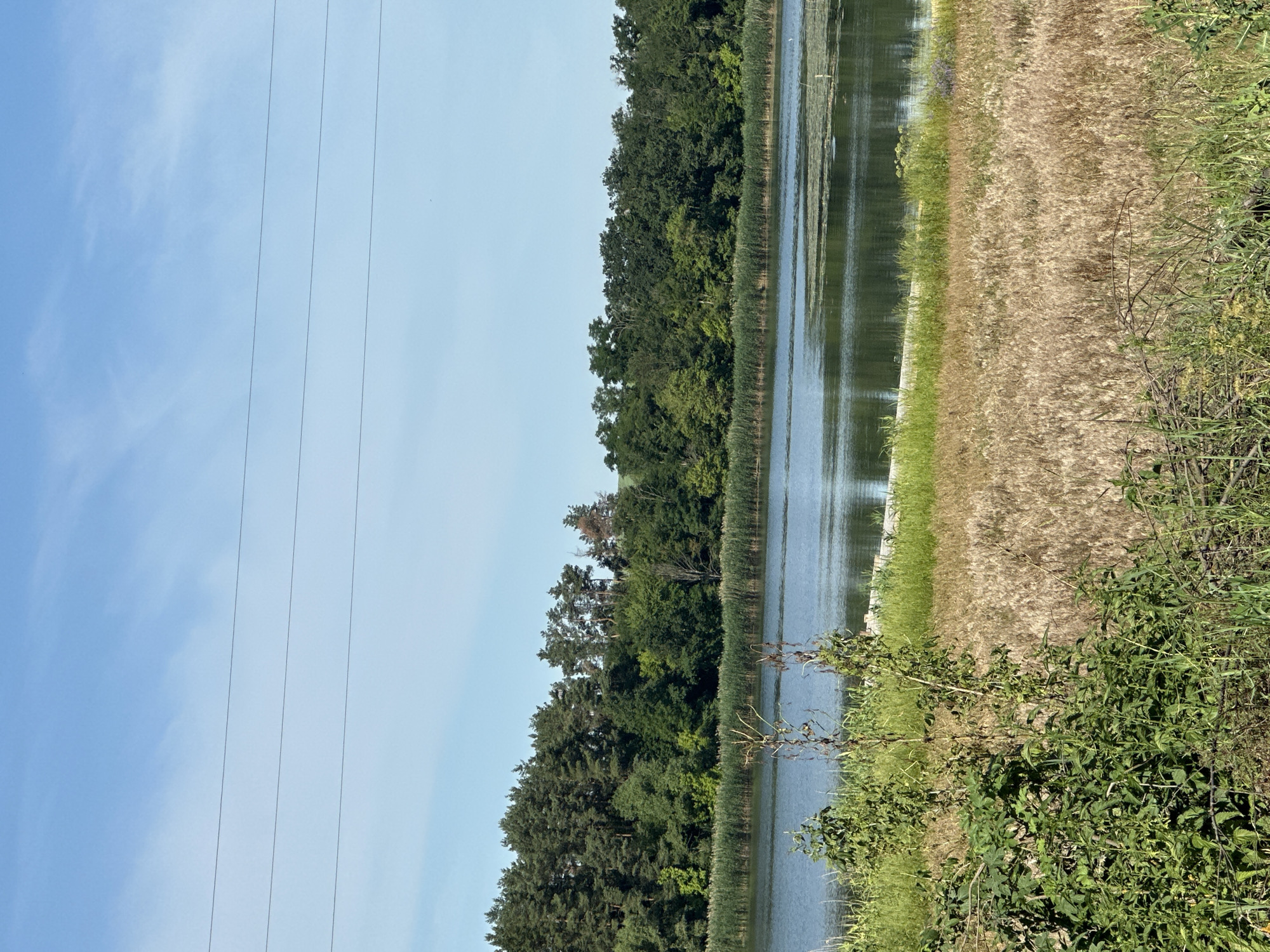 This image depicts a serene natural landscape in Khlypnivka, Ukraine. In the foreground, there is a field of dry, golden grass and green foliage. Beyond this, a calm body of water stretches across the frame, reflecting the blue sky above. The far bank of the water is lined with dense green trees, forming a lush forest. Three parallel power lines traverse the upper portion of the image against a clear blue sky. The scene is tranquil and untouched, evoking a sense of natural beauty. There are no people or animals visible.