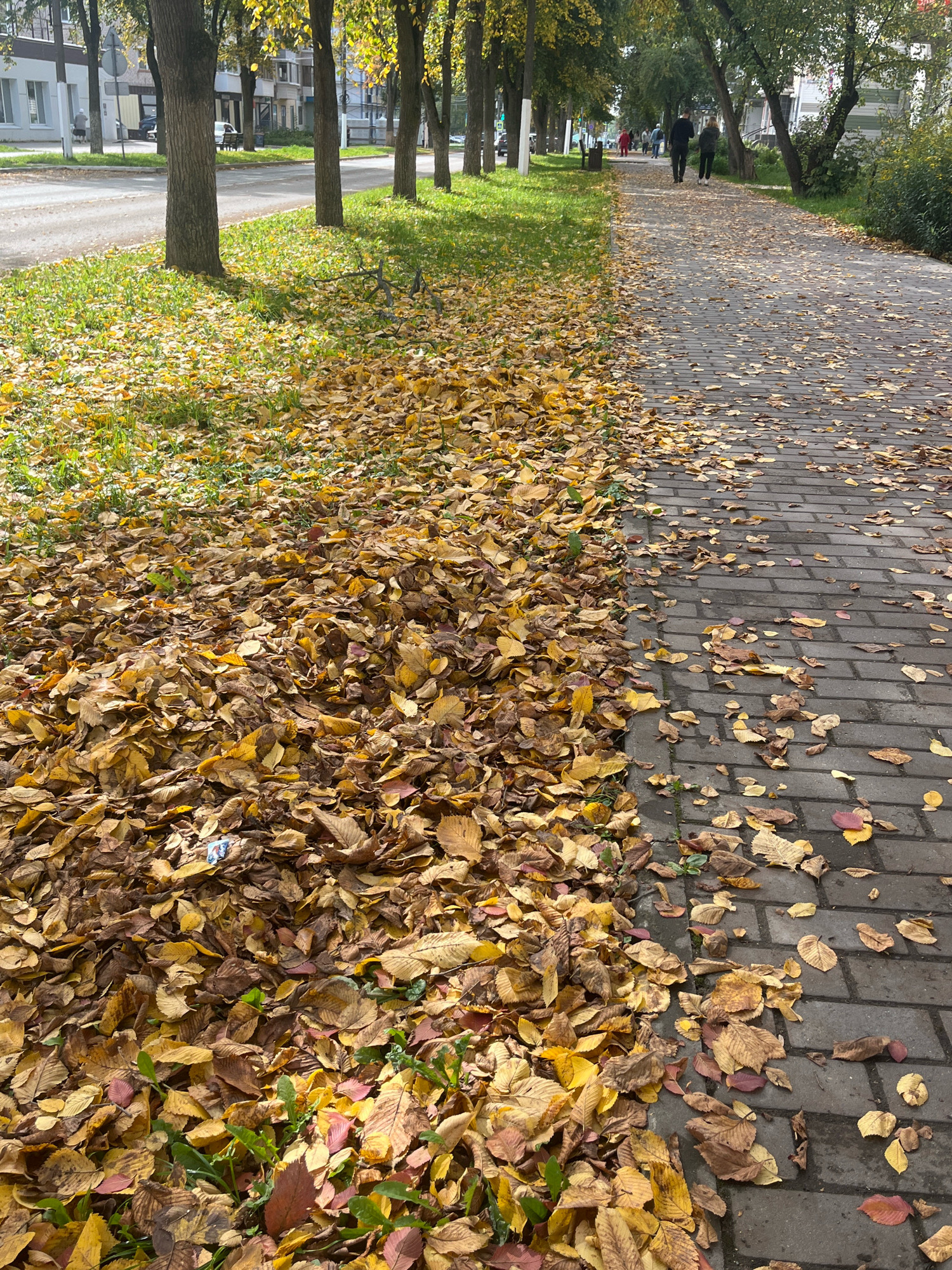 The image depicts an autumn scene on a sidewalk adjacent to a street in Chaikovsky, Russia. Fallen leaves, predominantly yellow and brown, cover the grassy area next to the sidewalk and are scattered across the brick-paved walkway. Several trees line the sidewalk, their branches bare or holding sparse yellow foliage. In the background, buildings and parked cars are visible along the street. Two individuals are walking away from the camera on the sidewalk. The overall impression is of a city street in the fall season, with natural elements of fallen leaves dominating the foreground.