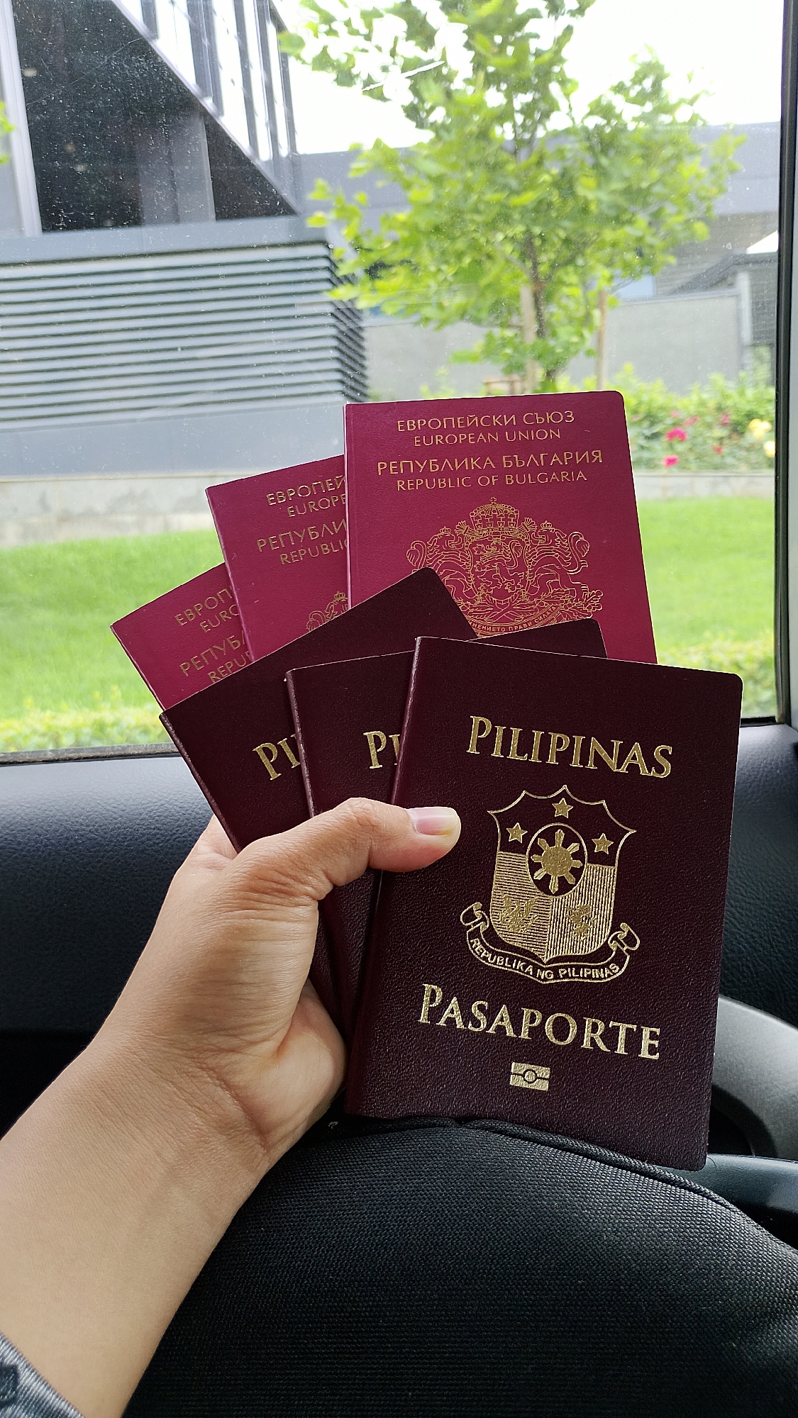 A close-up, eye-level shot shows a person's right hand holding multiple passports. The hand is in the foreground, gripping the passports with fingers curled around them and the thumb supporting the bottom. The passports are a deep burgundy color with gold lettering and insignia. Two of the passports are clearly identifiable as Bulgarian, with "ЕВРОПЕЙСКИ СЪЮЗ EUROPEAN UNION" and "РЕПУБЛИКА БЪЛГАРИЯ REPUBLIC OF BULGARIA" printed on their covers. The other visible passports are for the Philippines, with "PILIPINAS" and "PASAPORTE" visible. In the background, out of focus, is a modern building with large windows and gray siding, suggesting an urban setting. Green foliage and trees are also visible, indicating it is daytime and likely spring or summer. The scene appears to be inside a vehicle, as a portion of a black car seat is visible in the lower right corner. The lighting is natural, coming from the left, and casts soft shadows. The overall impression is one of travel or preparation for travel. The image was taken in Sofia, Bulgaria, where the Bulgarian passports are from, and the modern architecture in the background is consistent with the city's contemporary buildings.