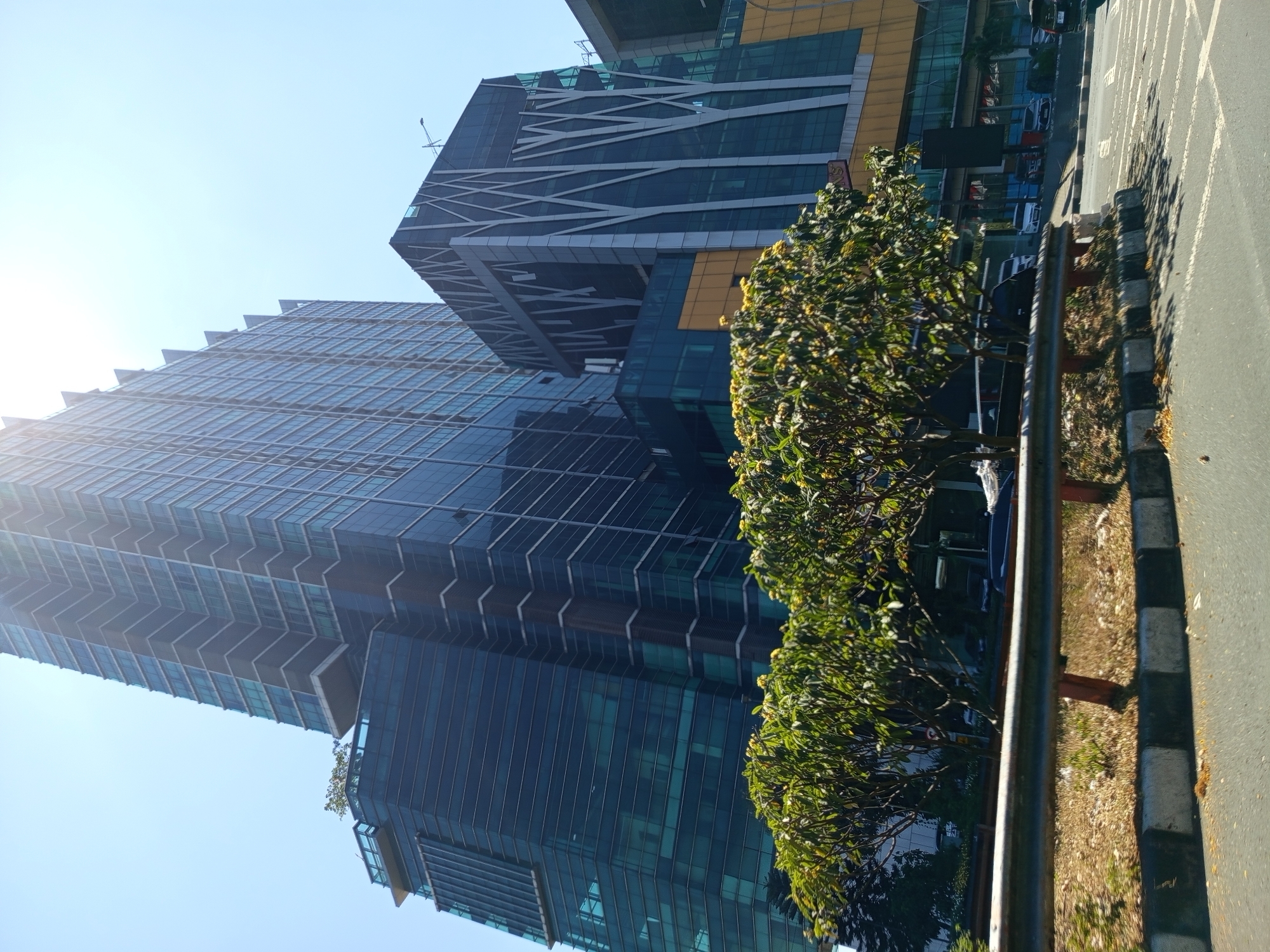 The image shows a low-angle, wide shot of modern glass skyscrapers in Surabaya, Indonesia, on a bright, sunny day. In the foreground, a row of trees with green foliage and yellow flowers partially obscures a metal guardrail. The guardrail is supported by orange posts and has a black and white striped concrete barrier beneath it. Beyond the trees, several cars are visible on a street, some parked and some in motion. The buildings feature extensive glass facades with geometric designs and varying architectural styles, suggesting a commercial or business district. The sky is clear blue with a slight haze from the sun.