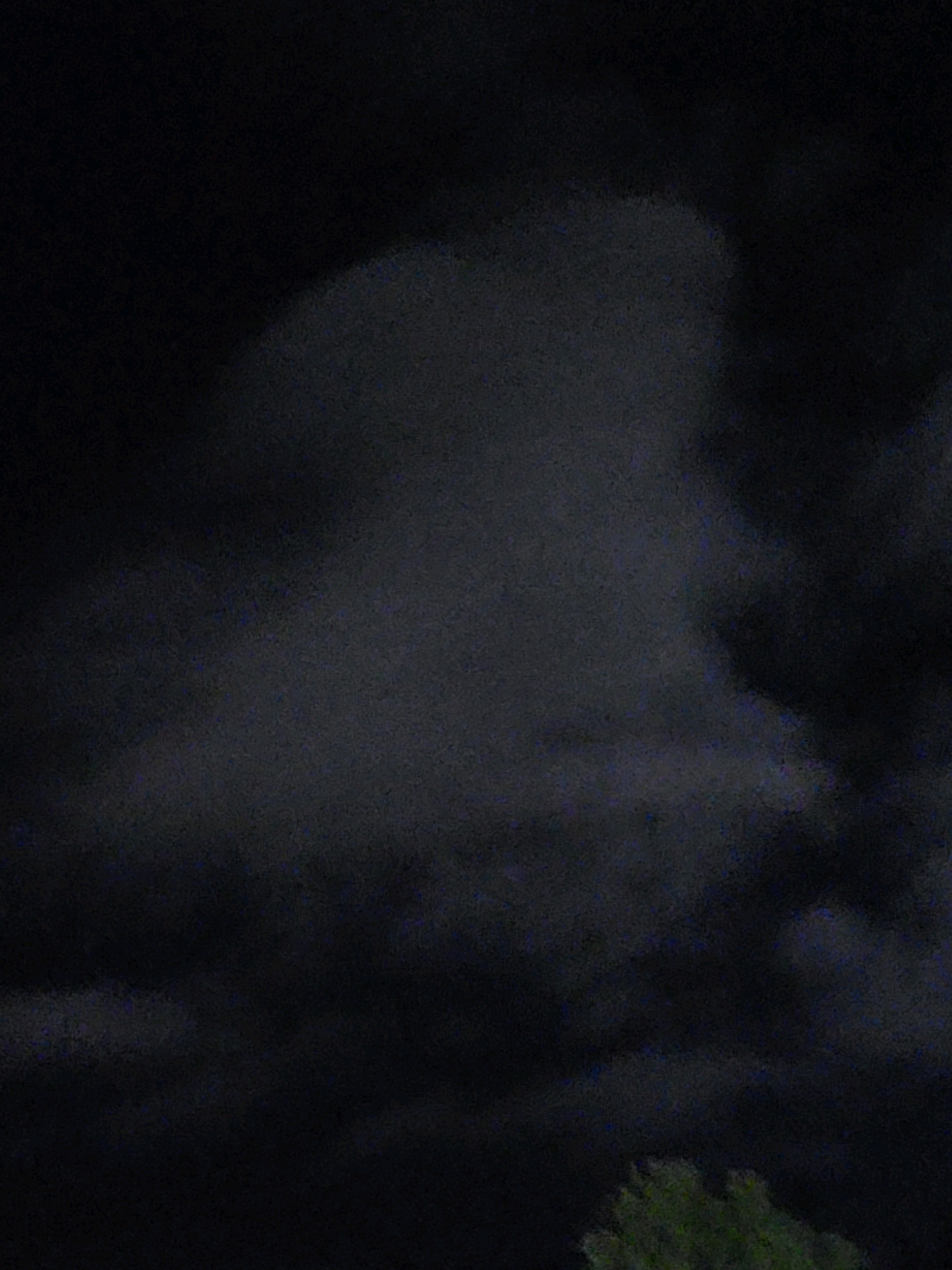 The image shows a dark, cloudy sky at night, possibly with some faint artificial light illuminating the clouds from below. At the bottom of the frame, a small portion of a tree with green foliage is visible. The overall scene suggests an outdoor environment at night, possibly in a suburban or rural area, given the presence of the tree. The specific location in Ozolnieki, Latvia, cannot be determined from the visual information provided in the image alone.