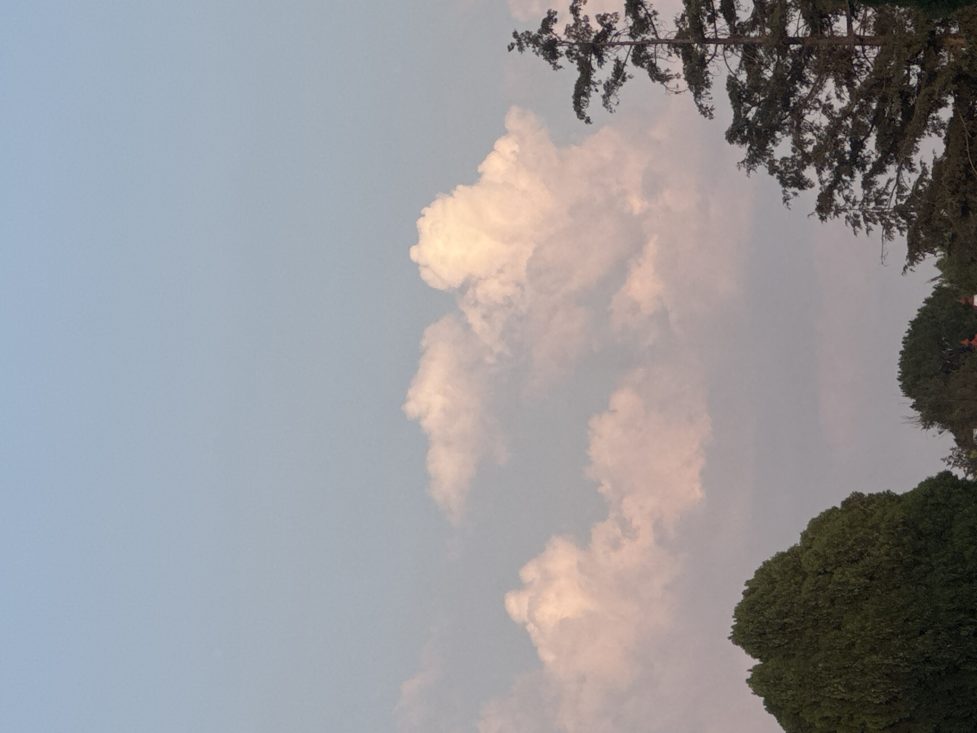 The image presents a view of the sky in San Andrés Cholula, Mexico. The sky is light blue and is filled with large, light-colored clouds. Some trees are visible along the edges, with some fully green and some appearing to be coniferous. No people or other subjects are clearly visible in the frame.