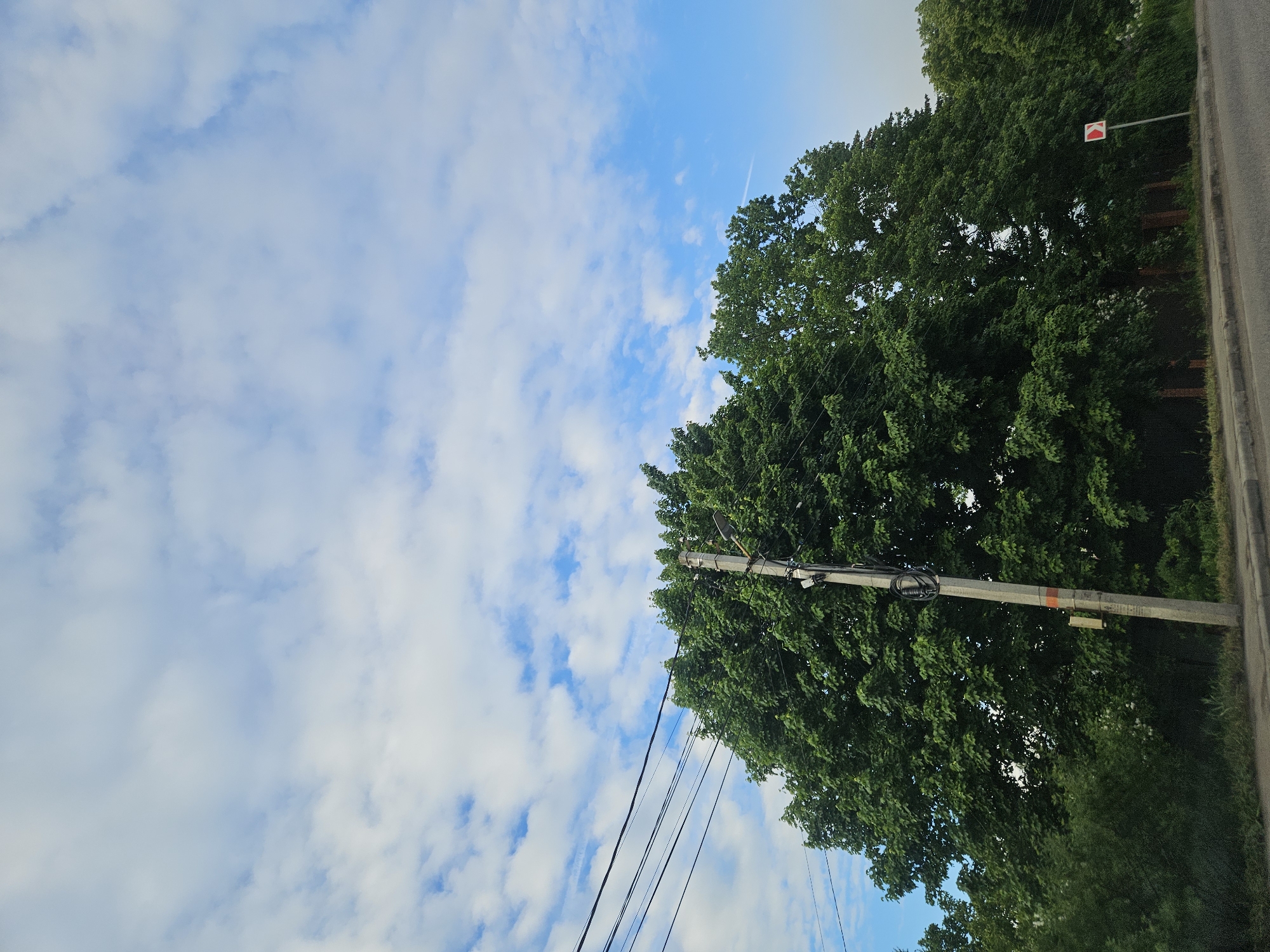 The image shows a partly cloudy sky in Осеченки, Russia. A tree with dense green foliage is located on the right side of the frame, adjacent to a paved road. A utility pole with several electrical wires extending across the lower part of the sky is visible near the tree. A red and white sign is attached to a tree. The overall environment appears to be a residential or suburban area.
