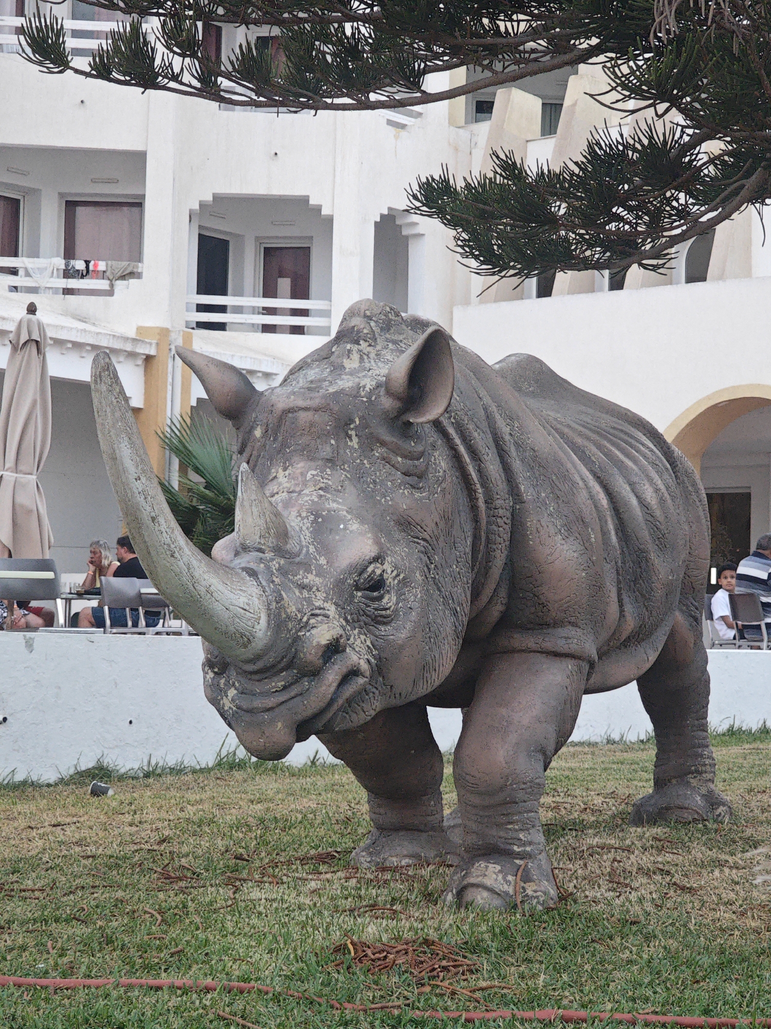 A life-sized rhinoceros statue stands in the foreground on a patch of grass. The statue is detailed, showing its thick skin, prominent horn, and sturdy legs. In the background, a modern white building with balconies and arched windows is visible. The building appears to be a hotel or resort, with some of its architecture suggestive of Mediterranean or North African style. A pine tree branches overhead, partially obscuring the building. Several people are seated at tables on a patio area in front of the building, some appearing to be patrons of an outdoor cafe. The environment is sunny, with green grass covering the ground and some dried pine needles scattered on it. The overall scene suggests a vacation or resort setting in Hiboun, Tunisia, where the statue serves as an ornamental feature.