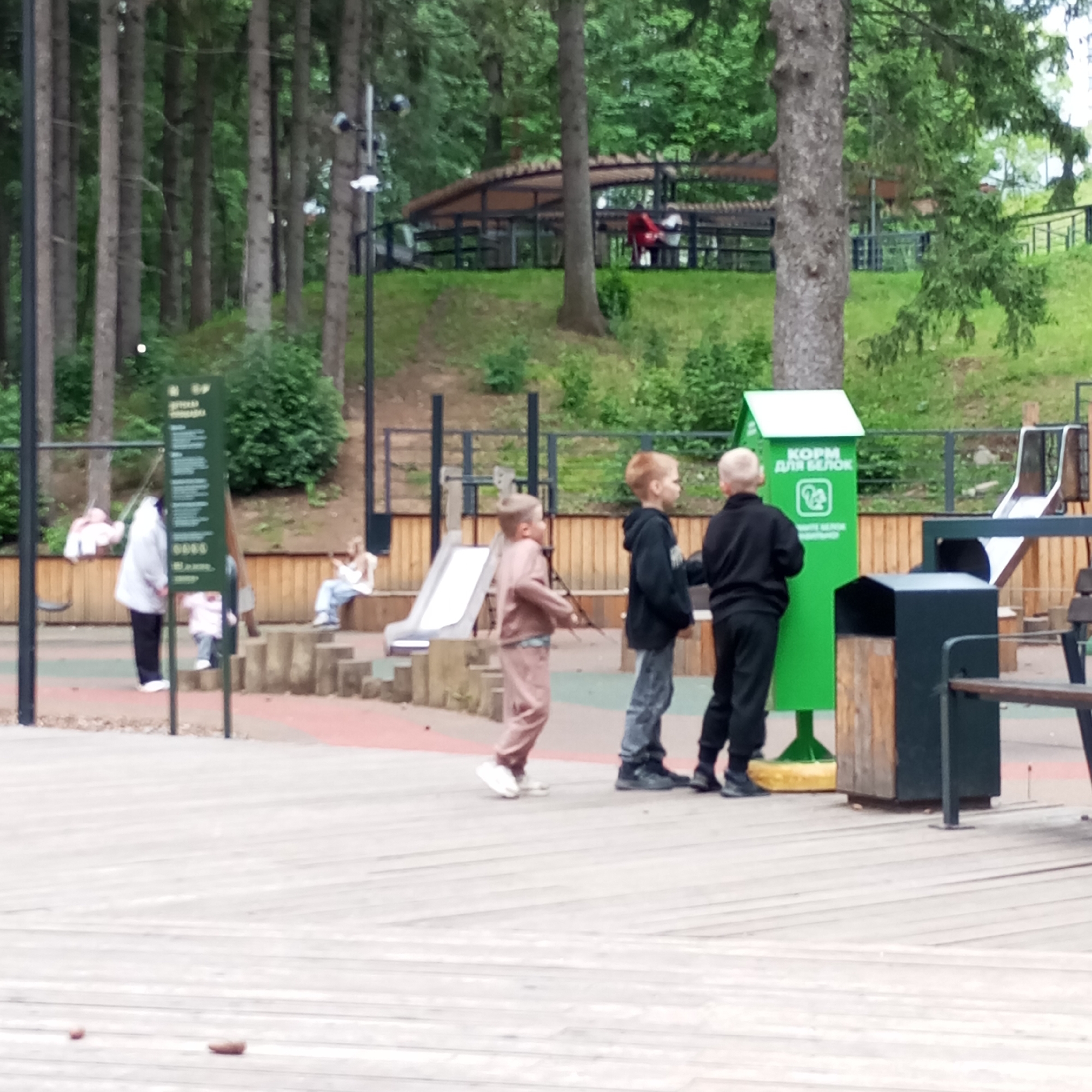 The image depicts an outdoor recreational area, specifically a children's playground, located in Izhevsk, Russia. In the mid-ground right, three young boys are observed near a tall, bright green squirrel feeder prominently labeled "КОРМ ДЛЯ БЕЛОК" (FOOD FOR SQUIRRELS) with a squirrel icon. One boy, seen from the back, wears a black tracksuit and appears to be interacting with the feeder. To his immediate left, another boy in a black hoodie and grey jeans stands, facing the feeder. A third boy, dressed in a light brown tracksuit and white sneakers, is positioned further left, walking rightward with his gaze directed towards the ground, possibly holding a thin stick-like object.
The playground features various elements including a silver slide visible behind the boys on the right, and numerous wooden steps and platforms distributed across the area. On the mid-ground left, a woman in a white jacket and dark pants stands near a tall, dark green informational sign with unreadable white text, observing a small child in light attire standing on wooden steps. Further left and back, a person in light clothing is seated on a swing. Adjacent to the squirrel feeder on the right, a dark grey trash can with a wooden panel and a park bench with a dark metal frame are present.
The foreground consists of a light-colored wooden deck. The playground floor combines red and green soft surfacing with brown wood chips. The background is characterized by dense green foliage and numerous tall, slender trees, suggesting a well-forested park environment. On a grassy embankment in the upper right, a large, dark-framed sheltered structure with a curved, light-brown roof provides seating for individuals, one of whom is distinctly wearing a red garment. The scene is illuminated by overcast daylight.
