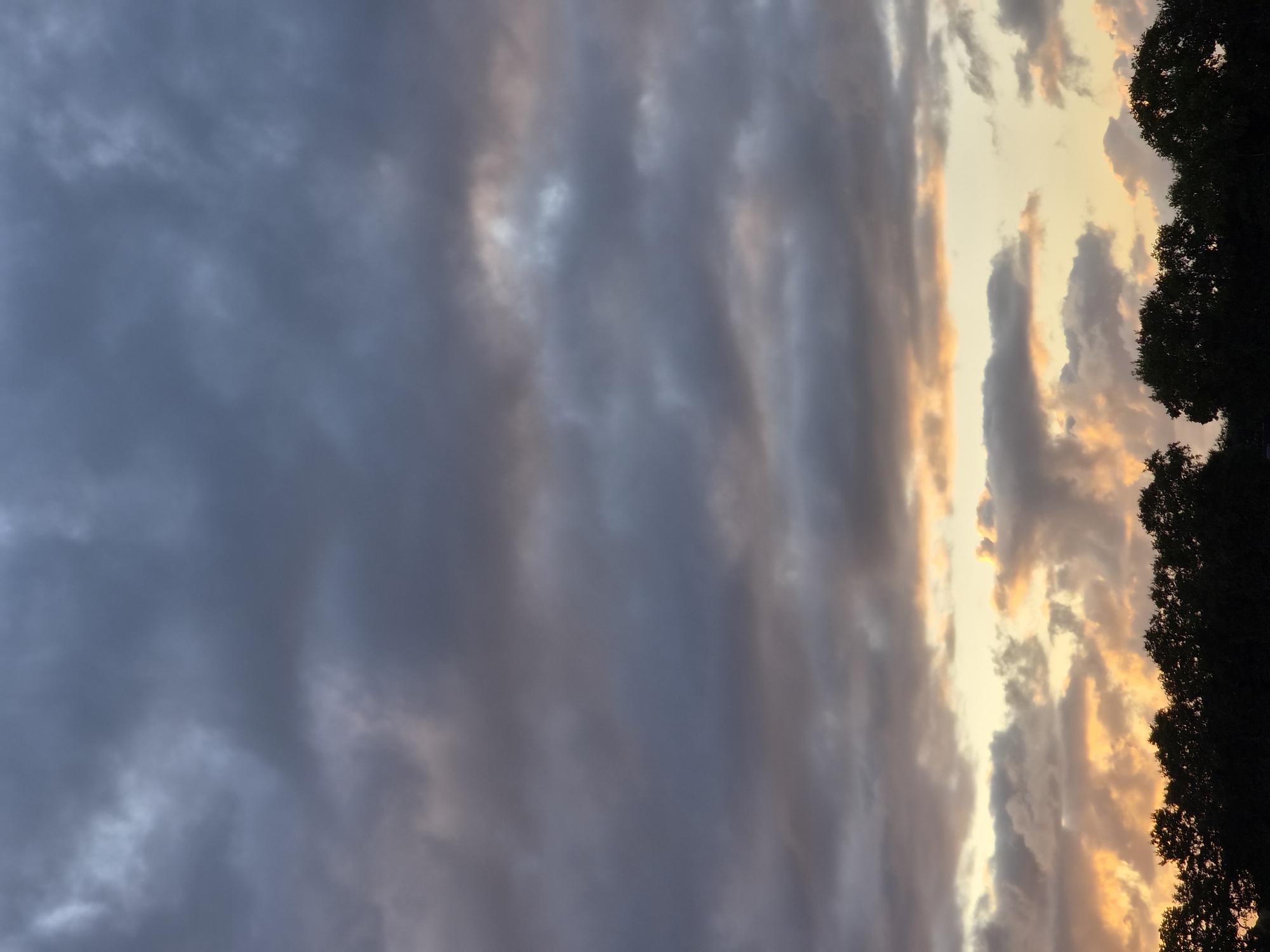 This image depicts a sunset over a treeline in Schiffdorf, Germany. The sky is filled with a variety of clouds, ranging from dark gray to lighter shades with hints of orange and yellow from the setting sun. The clouds are layered, with some appearing wispy and others more dense. The lower portion of the image shows the dark silhouettes of a row of trees, forming a distinct horizon line against the colorful sky. The overall scene is tranquil and evokes the end of the day.