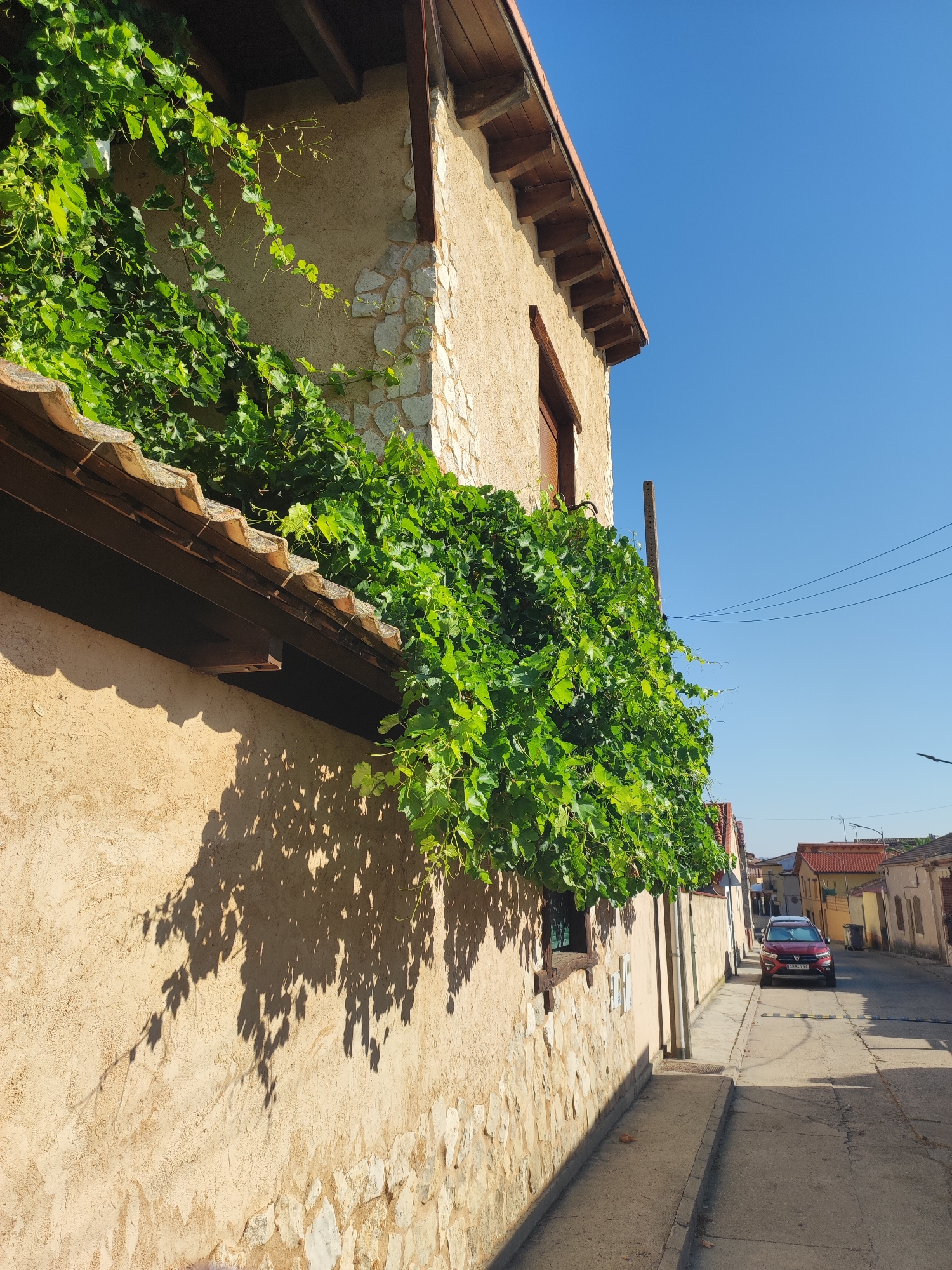 This image, taken in Traspinedo, Spain, shows a narrow street lined with buildings. A red car is parked on the street, facing the camera. The buildings have a rustic appearance, with stone foundations and stucco walls. Lush green vines are growing over the roof of one of the buildings, casting shadows on the wall. The sky is clear and blue. There are no people visible in the image. The scene appears peaceful and quiet.