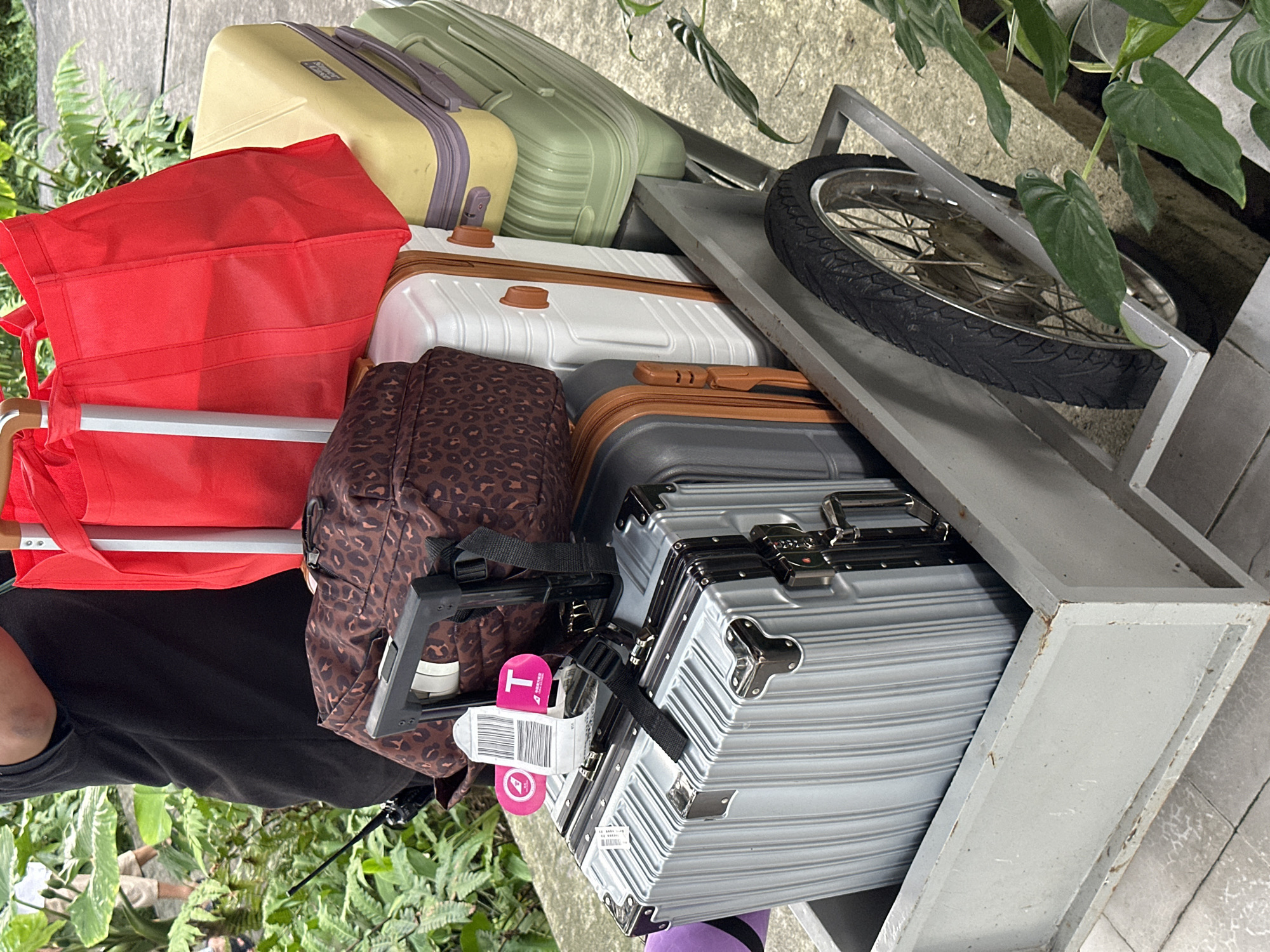 A luggage rack stands on a tile patio, likely in Licin, Indonesia, given the user's location. The rack is filled with luggage. On top are two green suitcases, one a lighter yellow-green. Beneath them is a white suitcase with brown trim, a brown leopard-print duffel, a gray suitcase with metal trim, and a large red tote bag. An unidentifiable individual wearing black clothing is partially visible to the left of the luggage. A bicycle wheel is wedged between the luggage and the metal frame of the rack. Green tropical plants surround the patio.