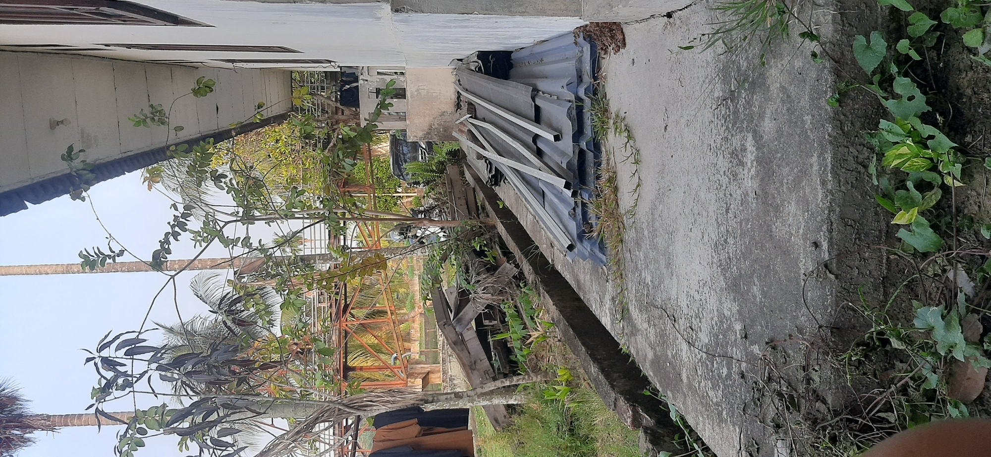 In Jambi, Indonesia, an outdoor scene depicts a narrow concrete walkway alongside a building. A stack of corrugated roofing sheets and metal bars lies on the walkway, indicating ongoing construction or renovation. Beyond the walkway, a ditch filled with overgrown vegetation runs parallel. In the background, a rusty metal structure, possibly part of a bridge or overpass, is visible. Palm trees and other tropical foliage surround the area, suggesting a warm climate. The building's exterior is white, with visible wooden window frames. The sky appears overcast. No people are visible in the immediate vicinity.