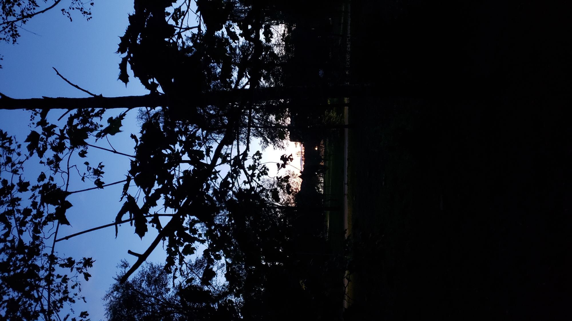 The image depicts a park area at dusk, likely in Prešov, Slovakia, given the context. Silhouetted trees and foliage dominate the foreground, creating a dark, shadowy scene against a gradient blue sky. In the mid-ground, a well-lit path or road is visible, with a few streetlights casting a warm glow. Beyond the path, a grassy area is discernible, and further back, a line of trees or buildings is faintly visible against the darkening sky. The overall impression is one of a tranquil evening in an urban park. There are no people or animals visible in the image.