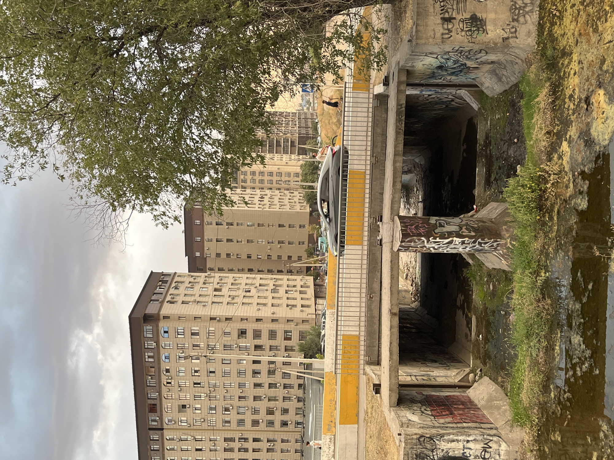 The image captures a view of a drainage canal passing under a bridge in Bishkek, Kyrgyzstan. The canal is filled with murky water and overgrown vegetation, and its concrete walls are heavily adorned with graffiti. Above the canal, a road bridge is visible, with a yellow barrier separating it from the canal's edge. Cars are driving on the road, and a person on a scooter and another on a bicycle are also present. In the background, tall apartment buildings stand against a cloudy sky. A large tree with lush green foliage partially obstructs the view on the right side of the frame.