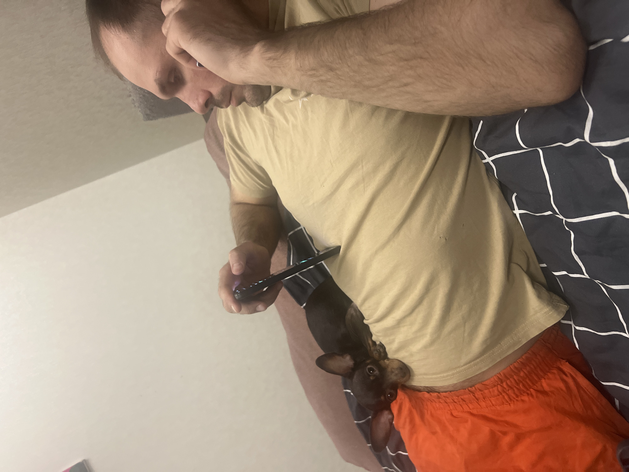 A person, presumably male, lies on a bed with a patterned navy and white comforter. He is wearing a beige short-sleeved t-shirt and orange shorts. A small, dark-colored dog is nestled between his torso and shorts, seemingly emerging from inside the t-shirt. The person holds a black remote control in his left hand and appears to be looking at it. The background is a plain white wall. It is impossible to verify that the photo was taken in Chaikovsky, Russia, based solely on the image content.
