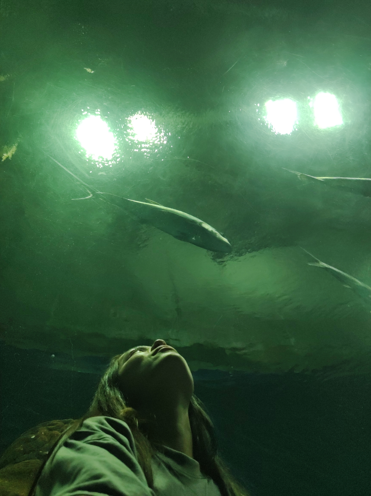 An upward shot captures a person with dark hair and a green hoodie looking up in awe. Above them, several fish swim in murky green water, illuminated by bright lights. The scene appears to be within an aquarium, possibly at an aquarium in an unknown city.
