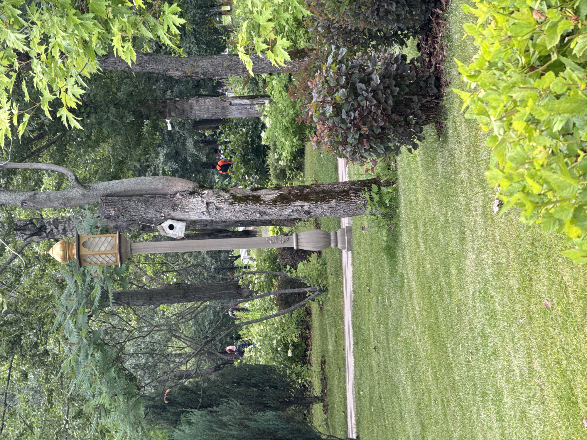 This image depicts a park scene with lush greenery and trees. In the foreground, a lamppost with a golden lantern and a birdhouse are visible, mounted on a thick tree trunk. To the right, a well-maintained lawn stretches into the background, bordered by a pathway. Several people are scattered throughout the park. One person, wearing an orange vest, is standing near a tree. Another individual, in a dark shirt, is walking on the pathway, while a third person, in a black top and jeans, is sitting on the grass. The trees are full of leaves, suggesting it is either spring or summer. The lighting indicates it is daytime, with overcast skies potentially. The overall atmosphere is peaceful and serene, characteristic of a leisurely day in a city park. No visible text is present in the image.