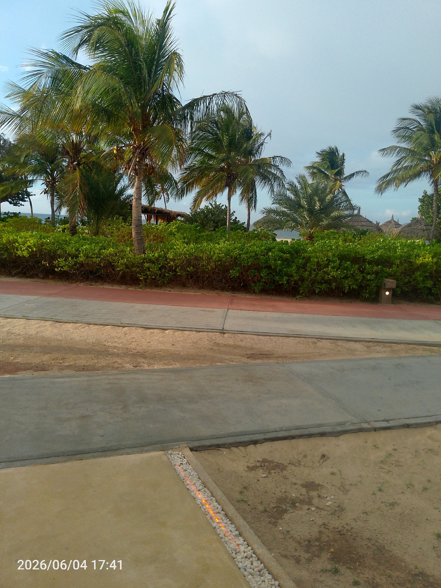 The image depicts a tranquil outdoor scene, likely a tropical resort or beachfront area, in the late afternoon or early evening. The foreground features a light-colored paved surface, edged by a strip of small white rocks containing glowing orange decorative lights. Behind this, a grey concrete path runs parallel to a reddish-brown pedestrian walkway.
Further into the scene, a dense, vibrant green hedge of bushes forms a lush divide. Beyond this foliage, numerous tall palm trees with abundant green fronds, some bearing coconuts, stand prominently against a light blue, slightly overcast sky. In the distance, partially obscured by the trees and bushes, several structures with traditional conical thatched roofs are visible, suggesting beach umbrellas or small huts. A glimpse of blue water, indicative of an ocean or sea, can be seen beyond the greenery. Faint, indistinct figures of people are barely discernible near the water's edge in the far distance. A small, square-shaped ground light is embedded next to the reddish path on the right.
The timestamp "2026/06/04 17:41" is visible in the bottom left corner, marking the time the photograph was taken as 5:41 PM. The scene evokes a calm and relaxing atmosphere characteristic of a holiday destination.
