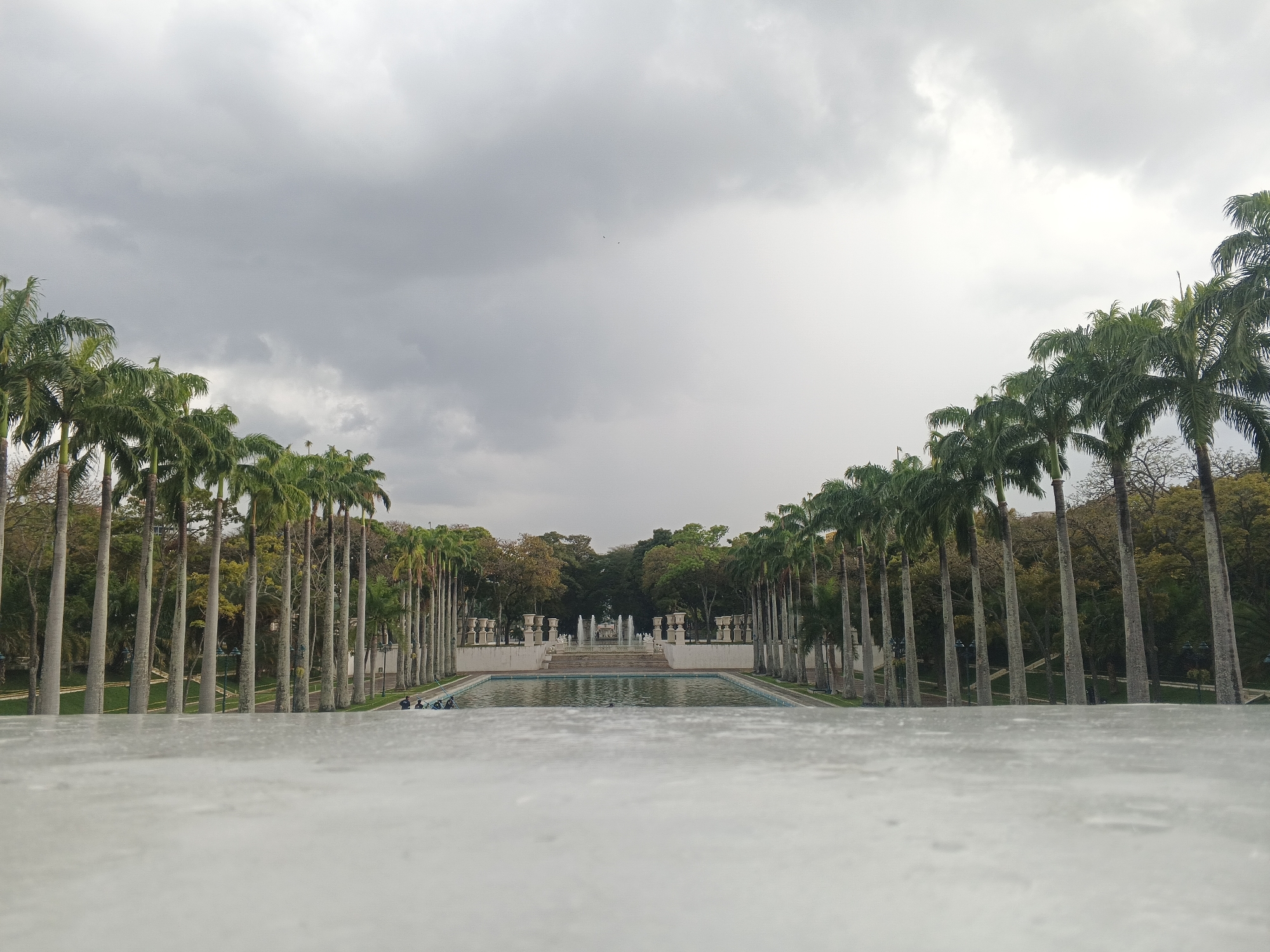A low-angle shot captures a grand, symmetrical garden scene under an overcast sky. The foreground features a flat, light-colored surface, possibly a stone ledge, extending across the bottom third of the frame, appearing somewhat wet or reflective. Beyond this surface, a long, rectangular reflecting pool dominates the middle ground, its still, light blue-green water extending towards a decorative fountain structure in the distance.
The pool is flanked on both sides by long, linear rows of tall, slender palm trees, their gray trunks rising majestically and topped with lush green fronds, creating a formal avenue. In the distance, at the end of the reflecting pool, a multi-tiered fountain is visible, actively spouting water jets. It is surrounded by classical-style white pedestals topped with large, ornate urns or planters, adding to the grandeur. Beyond the fountain and lining the sides behind the palm trees, various other trees and dense greenery create a verdant backdrop, some with autumn-colored leaves.
A few individuals, appearing as dark silhouettes, are seated or resting on the left edge of the reflecting pool, near the mid-ground. The activity seems to be leisurely enjoyment of the park environment. The sky is largely covered by uniform gray clouds, suggesting an overcast day. The overall impression is one of serene beauty and formal landscape design, possibly within a large park or botanical garden in a tropical or subtropical climate. No visible text is present in the image.
