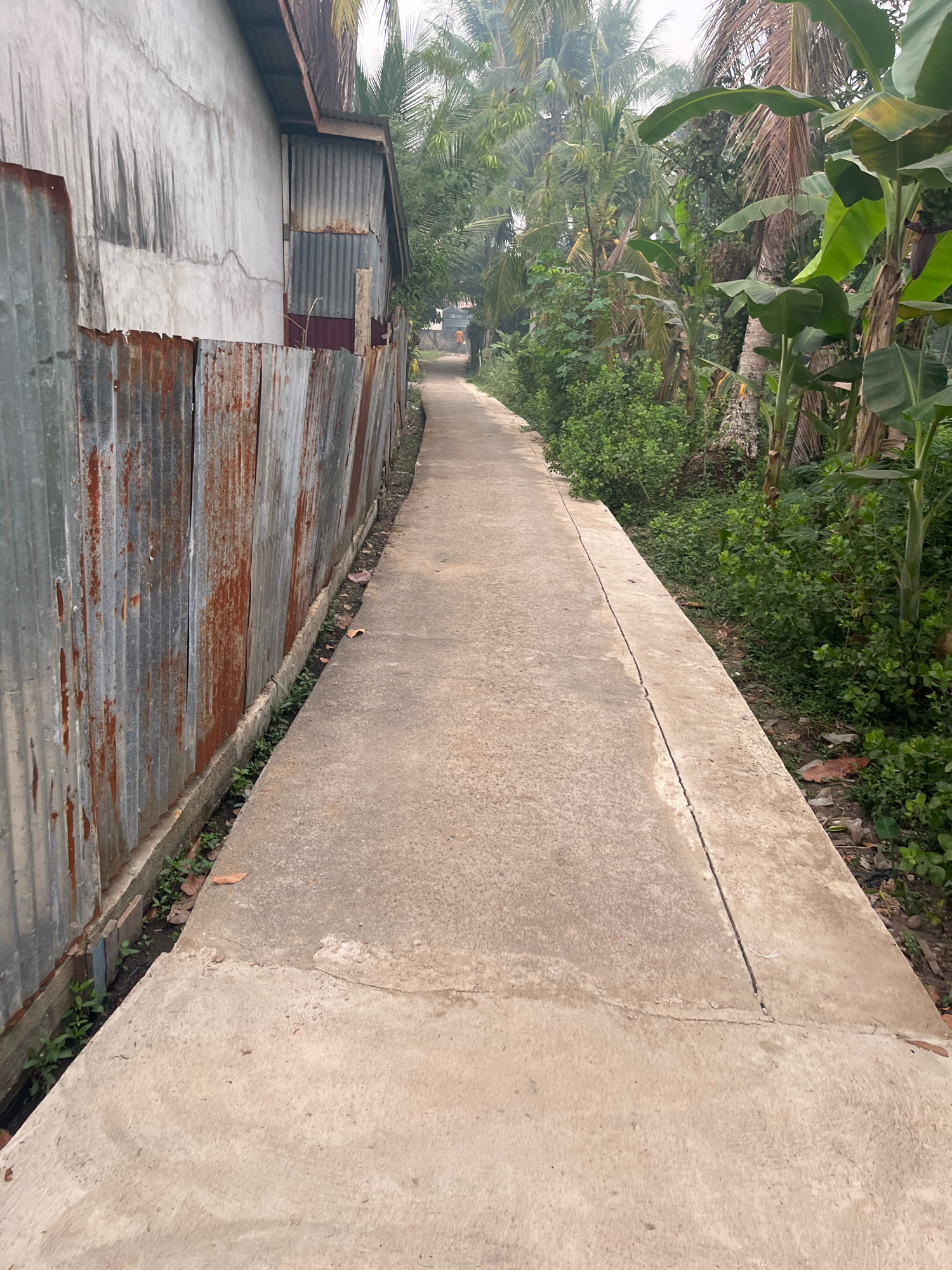 A concrete pathway runs alongside a corrugated metal fence and lush tropical vegetation. The pathway is cracked in places and appears to be in a rural or suburban setting, possibly a residential area. The fence is weathered and shows signs of rust. Beyond the fence, a building with a concrete and corrugated metal facade is visible. On the other side of the pathway, a dense array of tropical plants, including banana trees and palm trees, thrives. The scene suggests a humid, possibly overcast, environment. The image was captured in Meliau Hulu, Indonesia, depicting a typical street scene.