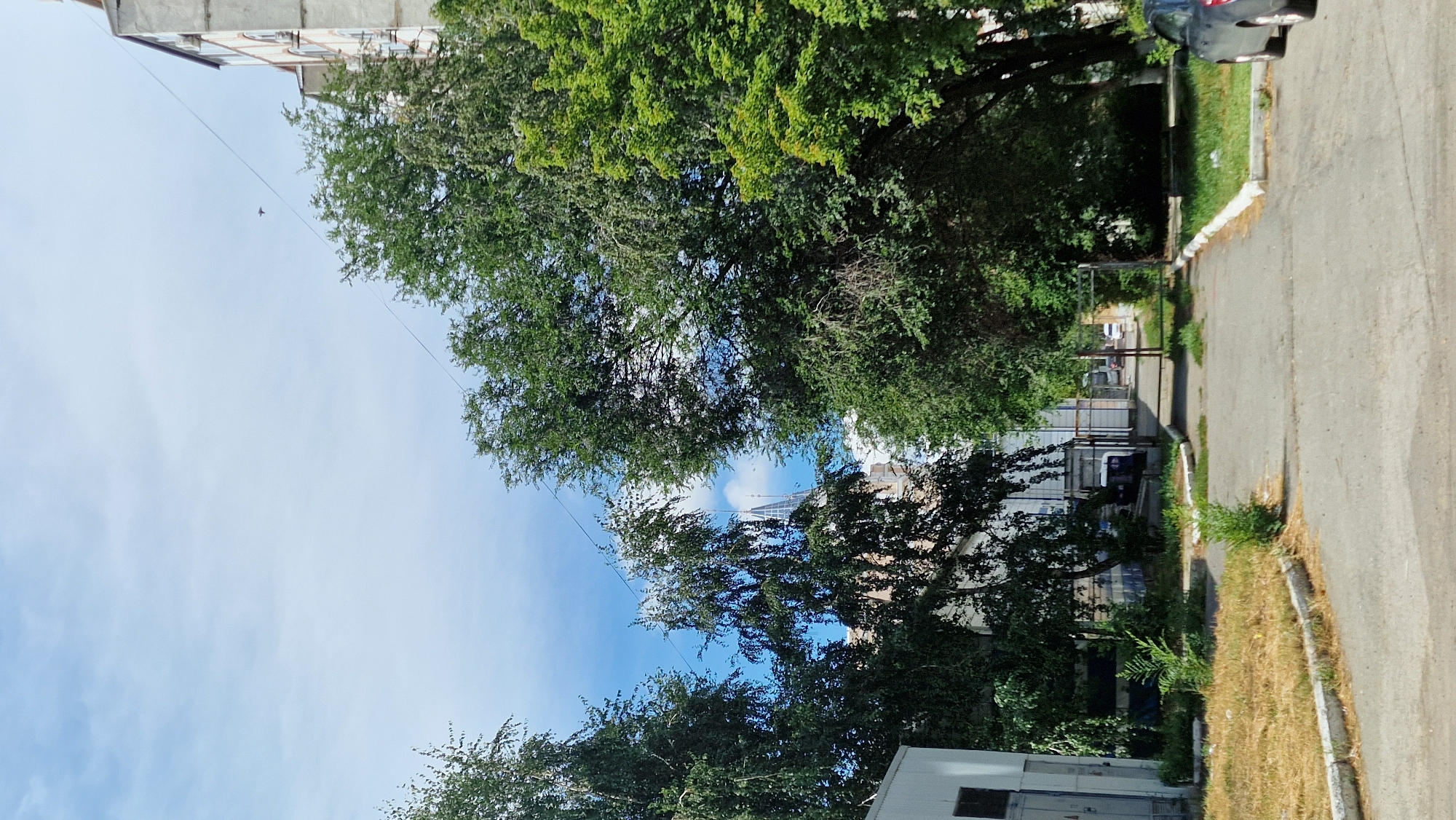 The image shows an outdoor scene with a paved pathway leading into a courtyard area. Tall trees with green foliage line the pathway on both sides. In the background, there are buildings, some of which appear to be apartment complexes, and a large metal gate. A dark-colored car is parked on the right side of the pathway. The sky is blue with scattered white clouds. A single bird is visible flying in the sky. The overall environment suggests a residential or urban setting.