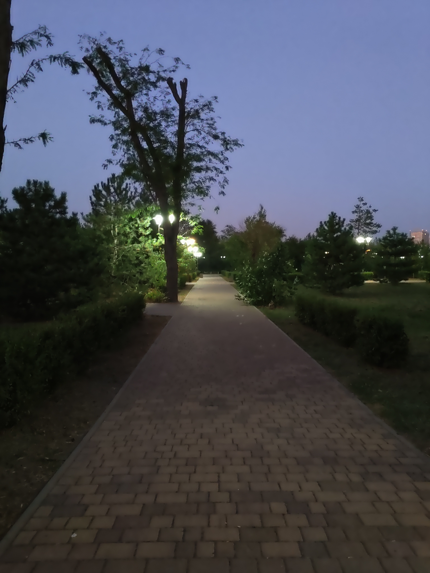 The image shows a paved pathway in a park-like setting, likely at dusk or early evening given the low light and illuminated streetlights. The pathway is made of rectangular pavers and curves slightly to the right as it recedes into the distance. On either side of the path are well-maintained bushes and trees, including several conifer trees and deciduous trees, some of which appear to have been pruned. Several lampposts are visible, their lights casting a warm glow on the surrounding foliage and pathway. The sky is a pale, dusky blue. In the far distance, a multi-story building is visible, suggesting an urban or suburban environment. This scene is consistent with a public park in Rostov-on-Don, Russia, providing a tranquil setting for pedestrians.