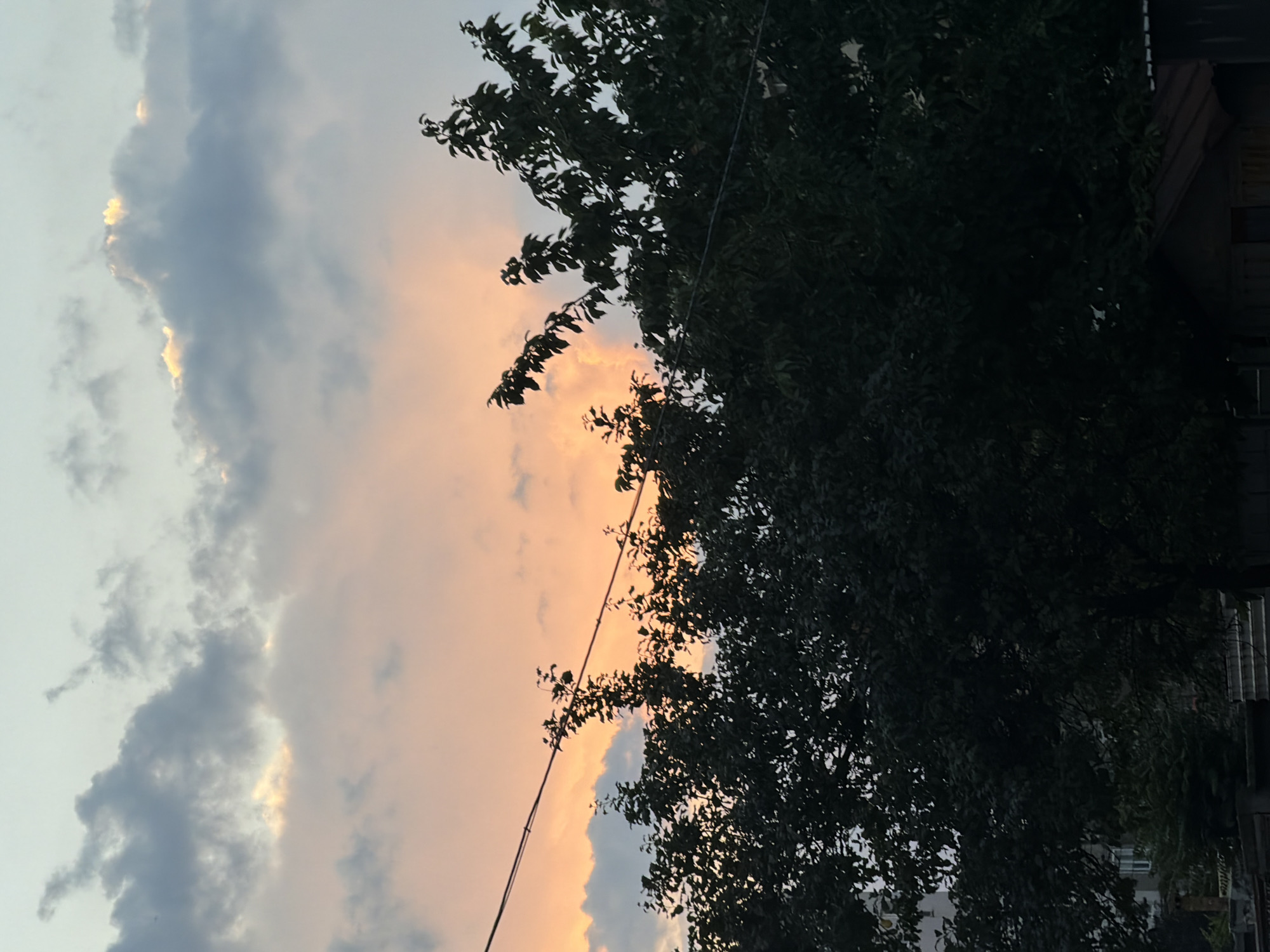 The image captures a sunset sky with dramatic clouds in varying shades of grey, white, and a warm peachy-orange hue. The sun's light is filtering through the clouds, creating a soft, diffused glow. In the foreground, silhouetted against the colorful sky, is a dense canopy of dark green leaves belonging to a tree. The branches of the tree are sparsely visible, with some leaves appearing sharp and well-defined, while others are blurred, suggesting movement or a shallow depth of field. A thin, dark wire stretches diagonally across the frame from the top left to the bottom center, partially obscured by the tree's foliage. On the right side of the image, a sliver of a building or structure can be seen, appearing dark and partially in shadow, with some vertical lines suggesting siding or a fence. The overall mood is serene and natural, evoking the quiet beauty of the end of the day. The lighting indicates it is late evening, likely around sunset. There is no visible text in the image.