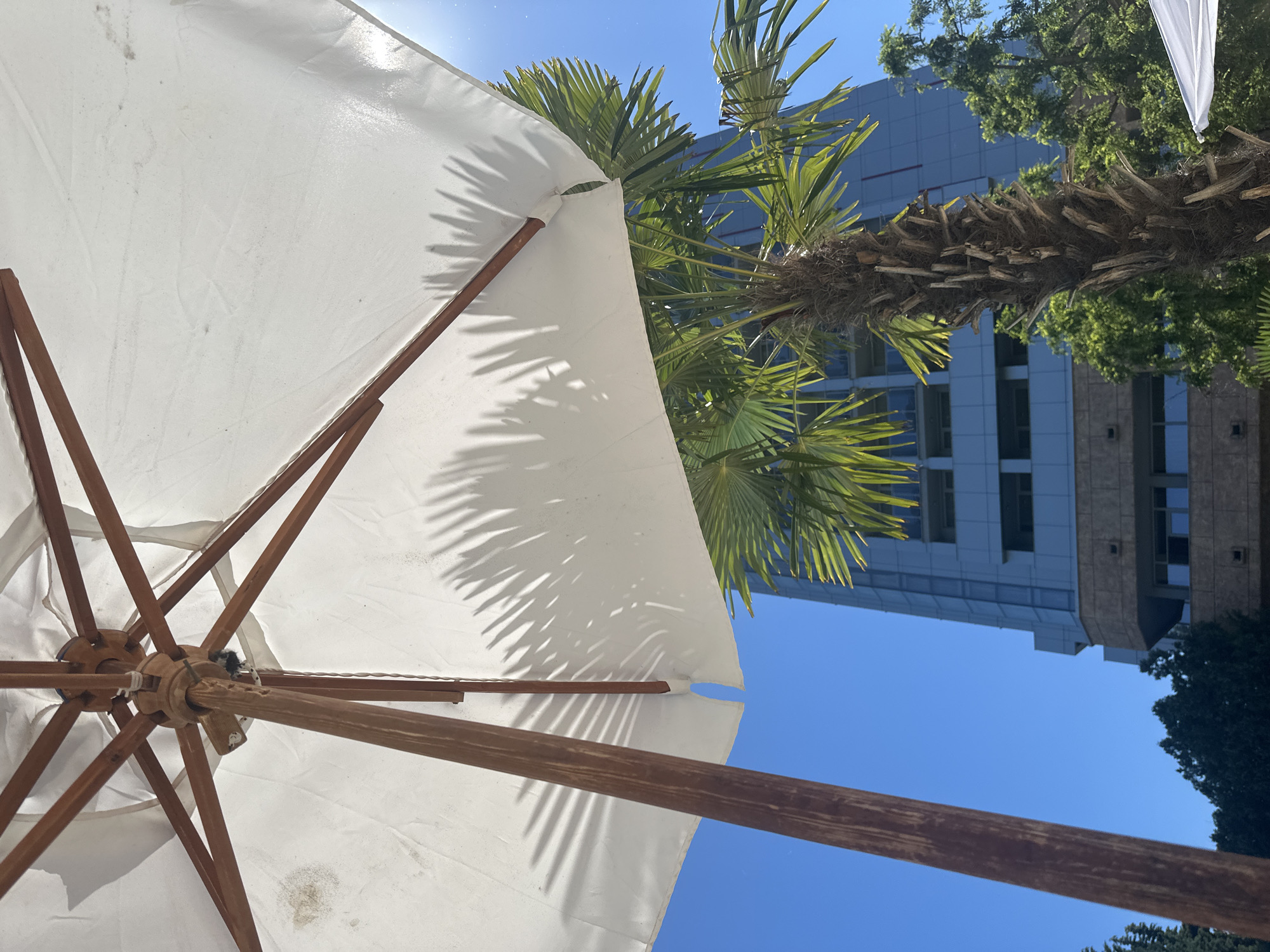 This is a low-angle, close-up, exterior shot of a large white umbrella, made of fabric and supported by a wooden frame, in what appears to be a resort area in Nesebar, Bulgaria. The umbrella is open and casts shadows of palm fronds onto its surface. In the background, a tall, modern building with blue-tinted windows and a stone base is visible, along with lush green trees and a bright blue sky. A palm tree with a textured trunk is positioned in front of the building, partially obscured by the umbrella. The overall impression is one of a sunny, warm day, likely in a vacation setting.