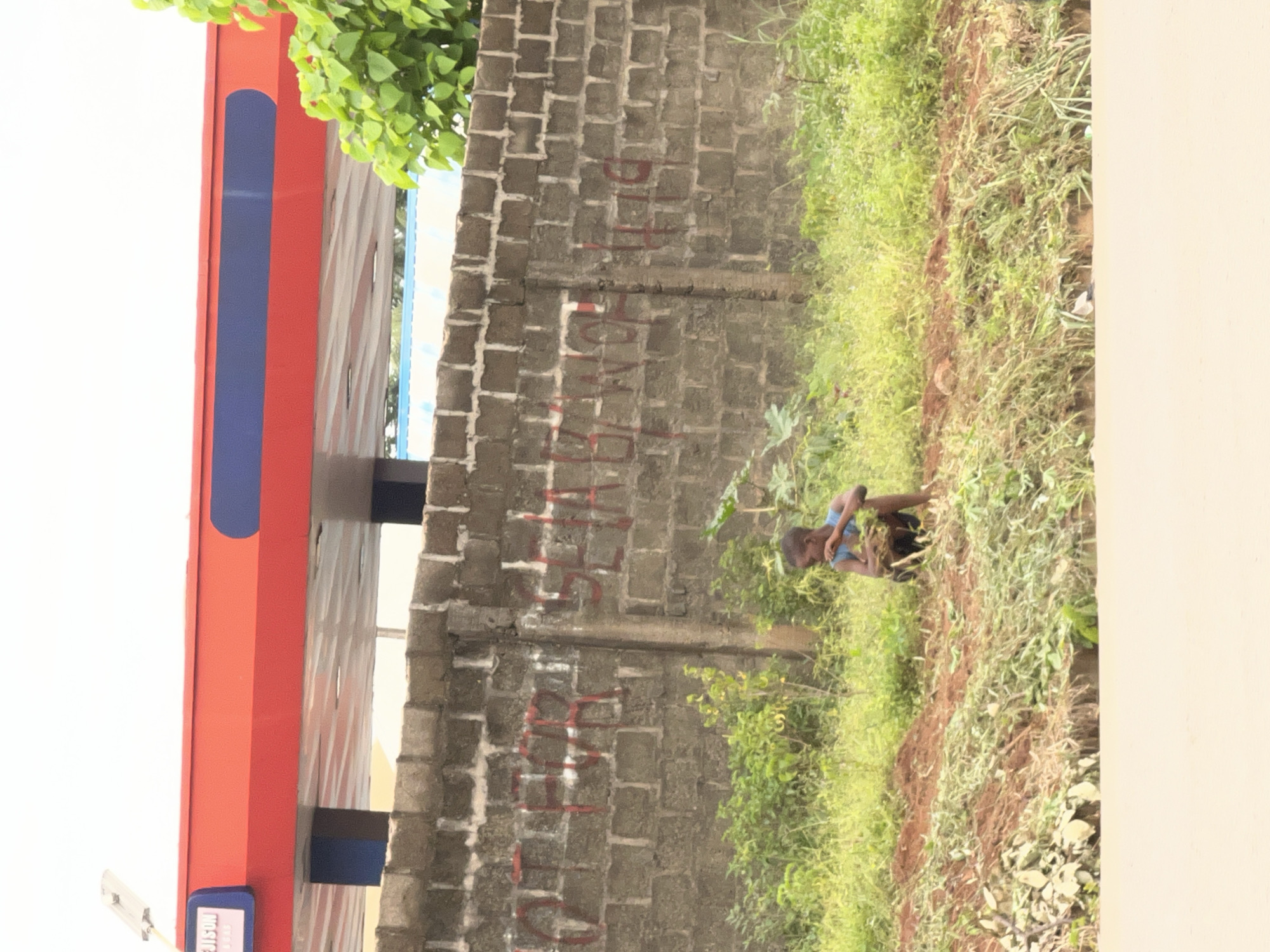 In Nkpor, Nigeria, a young boy kneels amidst overgrown grass and dirt beside a brick wall. The wall is adorned with red graffiti, the text obscured by the angle and lighting. Behind the wall, a red and blue gas station canopy is visible, suggesting the scene is near a commercial area. The boy, wearing a blue shirt, appears to be gathering foliage. The overall environment is rural, with dense vegetation and a cloudy sky.