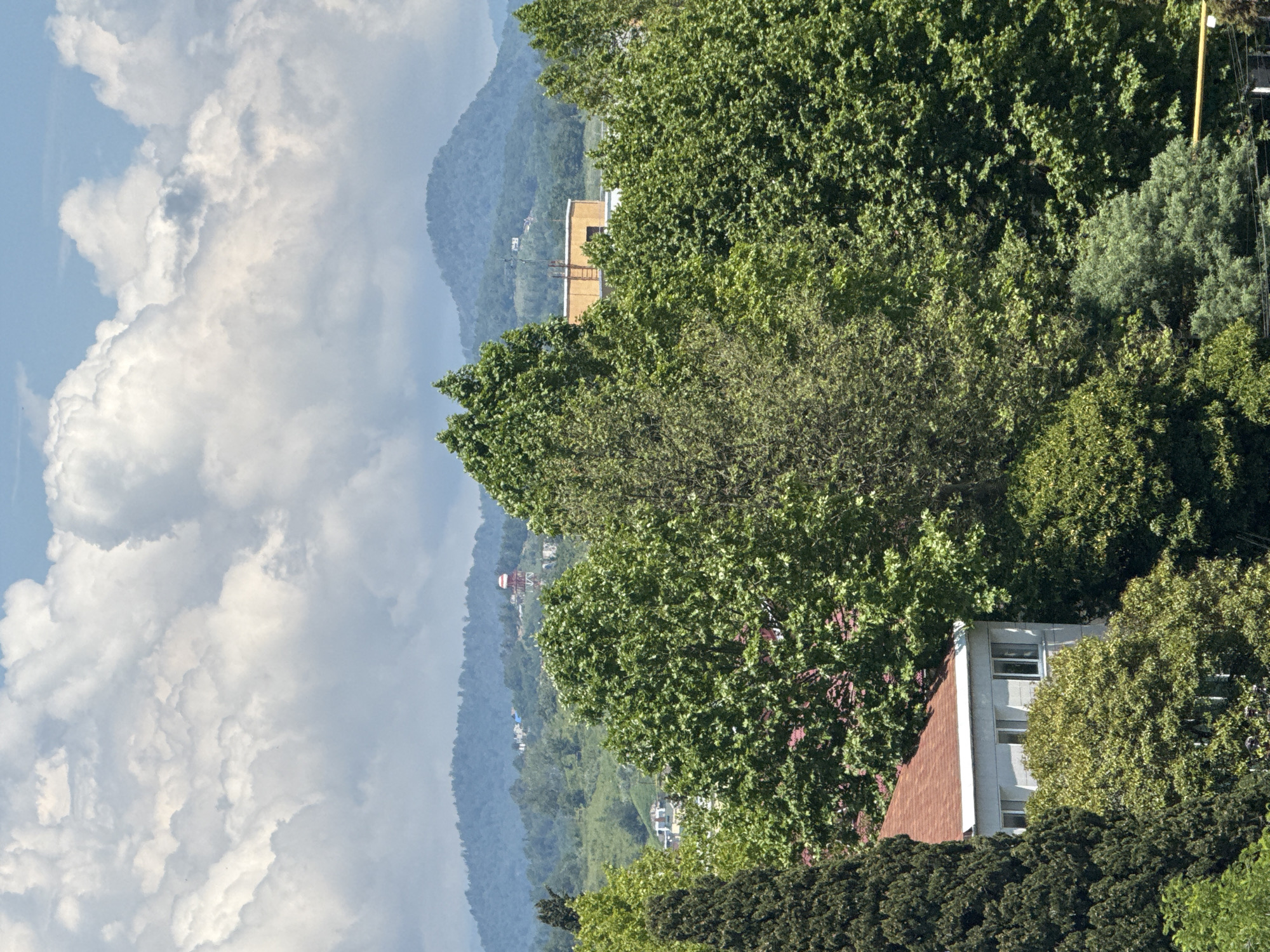 The image depicts a lush, verdant landscape in Sochi, Russia, with a prominent focus on the dense foliage of numerous trees. In the foreground, a white building with a reddish-brown roof is partially obscured by trees, suggesting a residential or institutional structure. The building features several windows, some of which are visible. Further back, beyond the immediate trees, more trees cover rolling hills that lead to distant, hazy mountains. A notable structure, appearing to be a tower with red and white banding, is visible on one of the hills in the mid-ground. The sky above is a vibrant blue, dotted with large, fluffy white clouds, indicating fair weather. The overall impression is one of natural beauty and suburban development blending together.