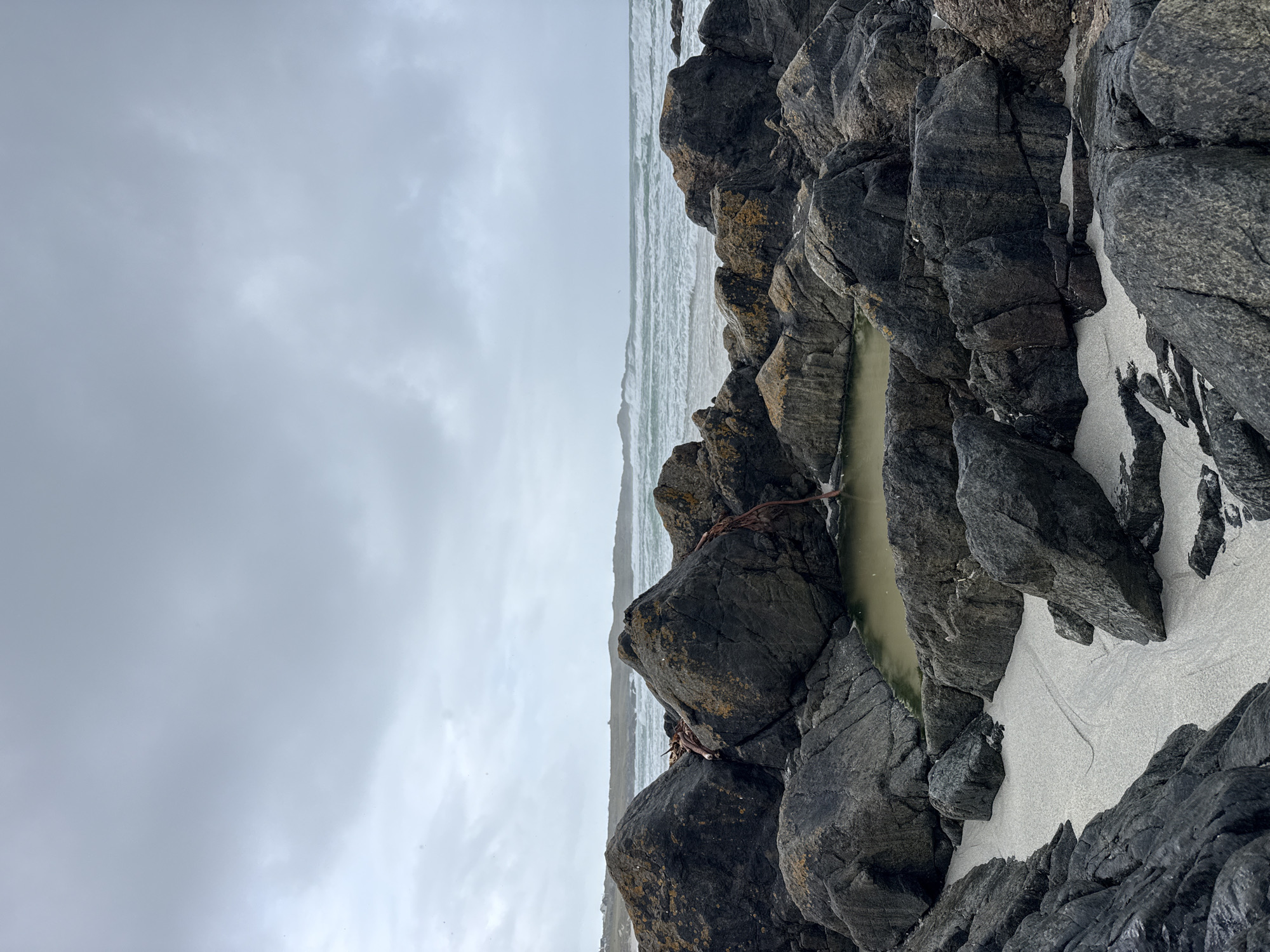 A landscape view shows a rocky beach on a cloudy day. Dominating the right side of the frame are dark, wet rocks interspersed with patches of white sand. A tide pool filled with murky water sits between the rocks. In the background, the gray-green ocean meets the horizon under an overcast sky. The scene is quiet, with no visible human activity.
